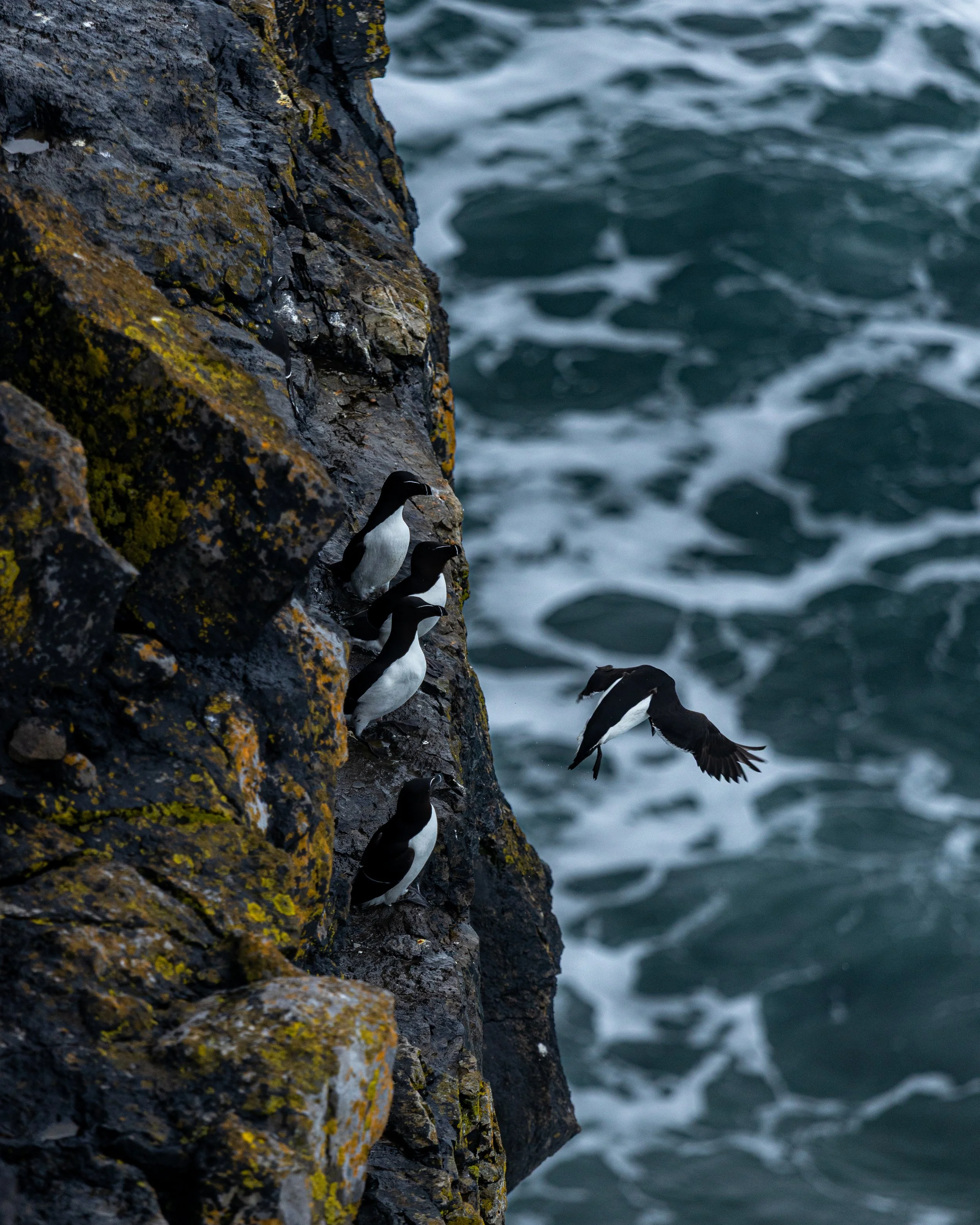 CLIFFS OF ACHILL -29.jpg