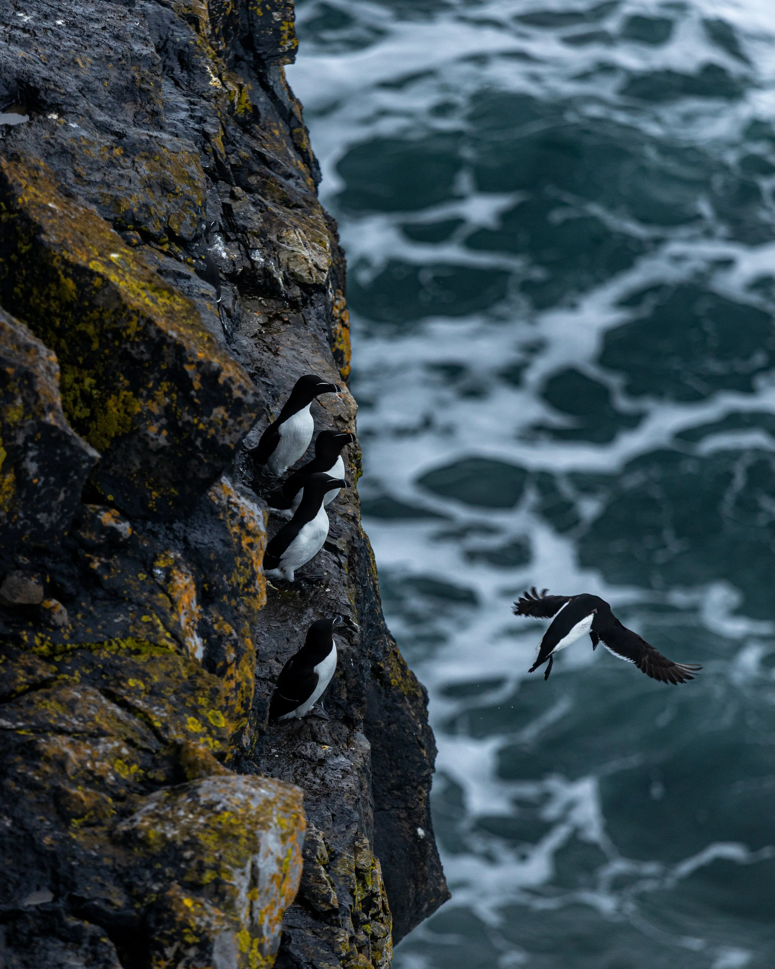 CLIFFS OF ACHILL -30.jpg