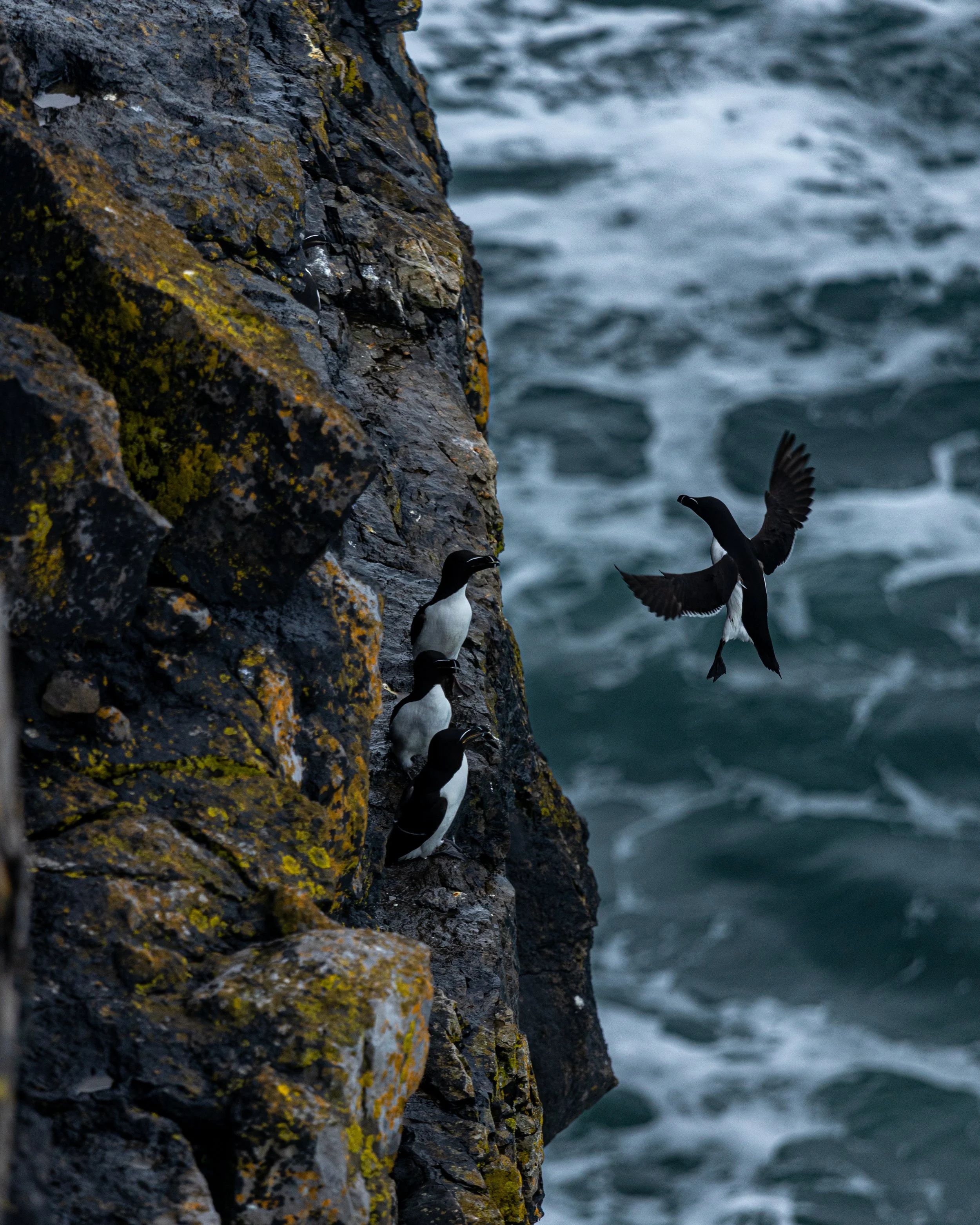 CLIFFS OF ACHILL -31.jpg