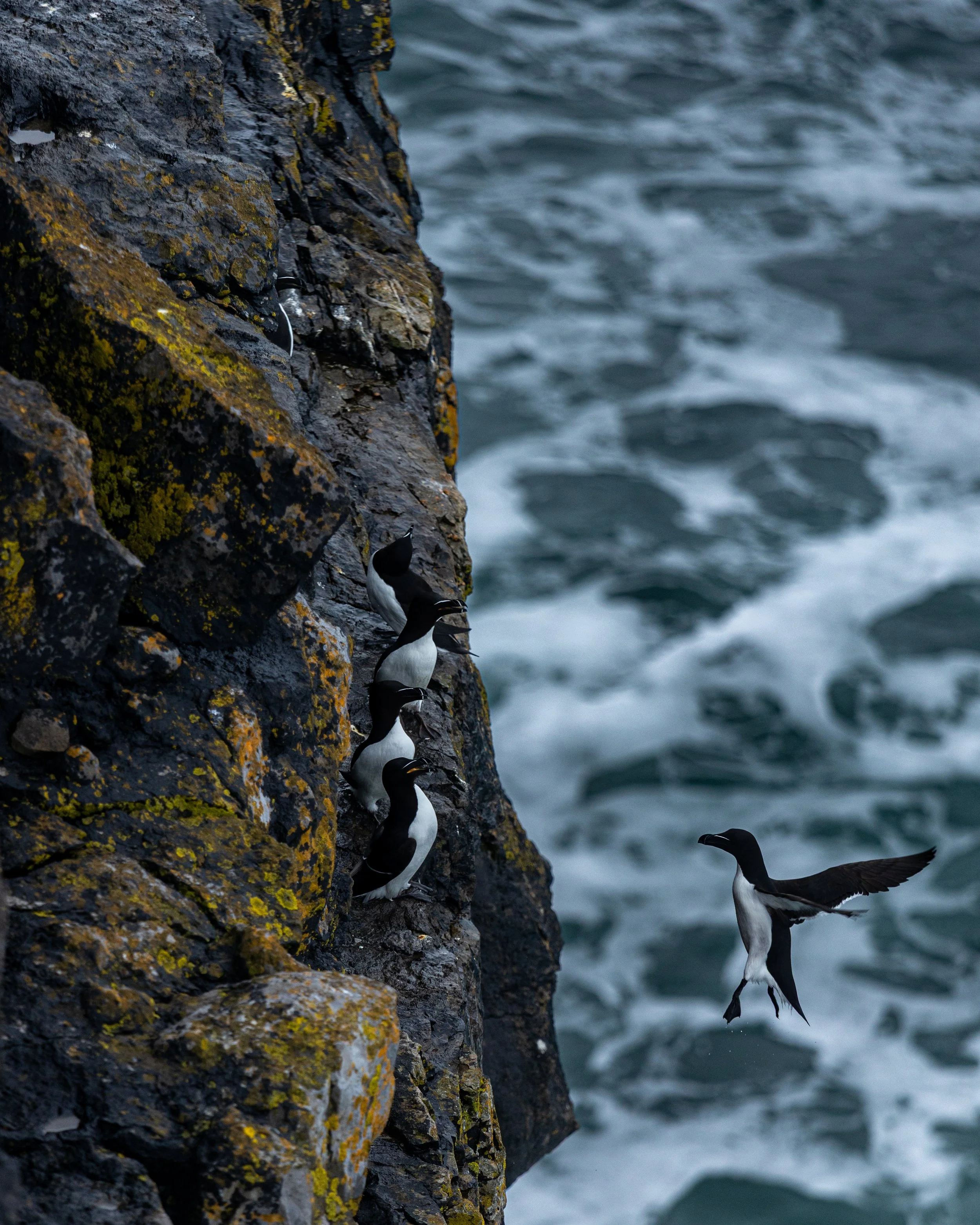 CLIFFS OF ACHILL -33.jpg