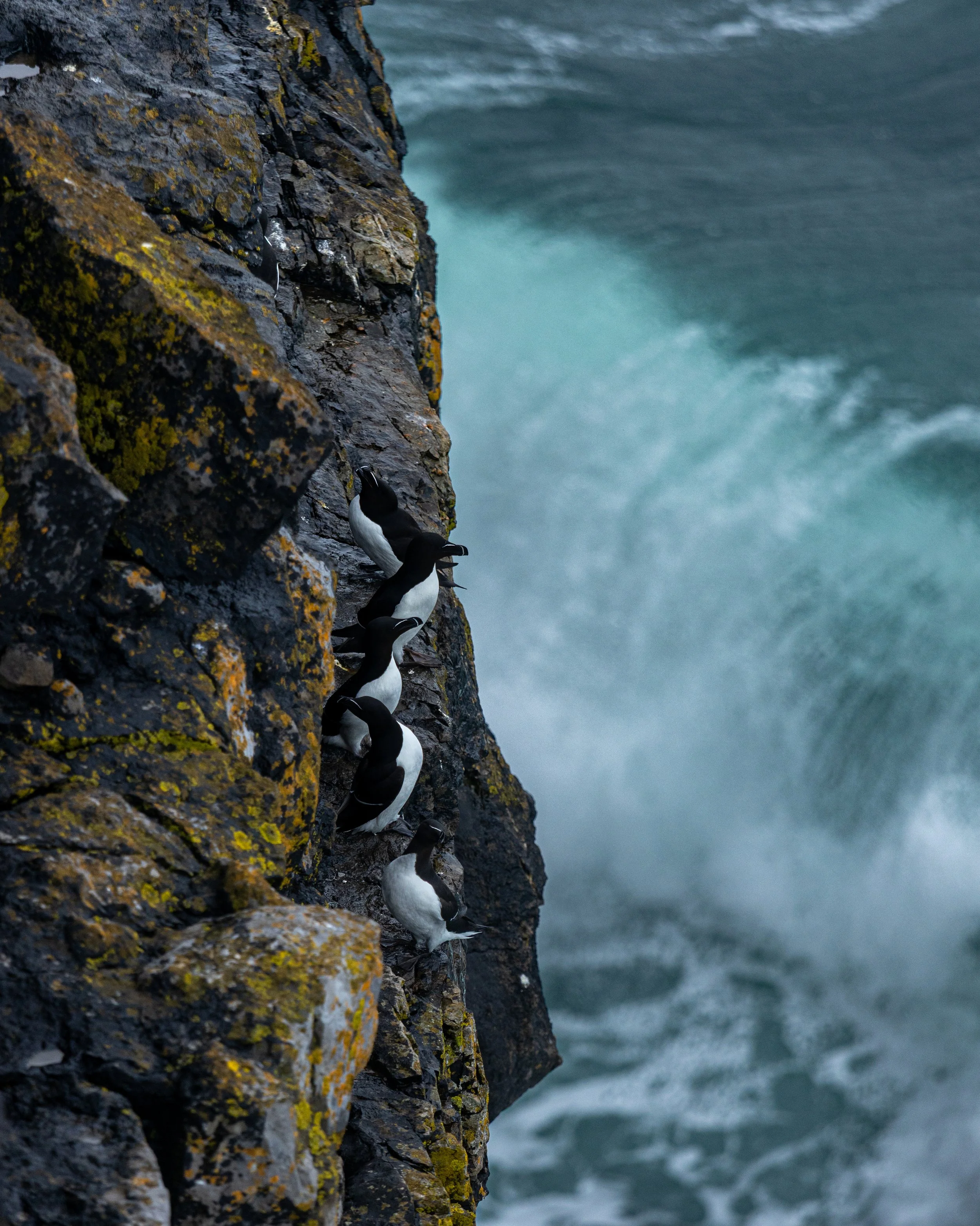 CLIFFS OF ACHILL -34.jpg