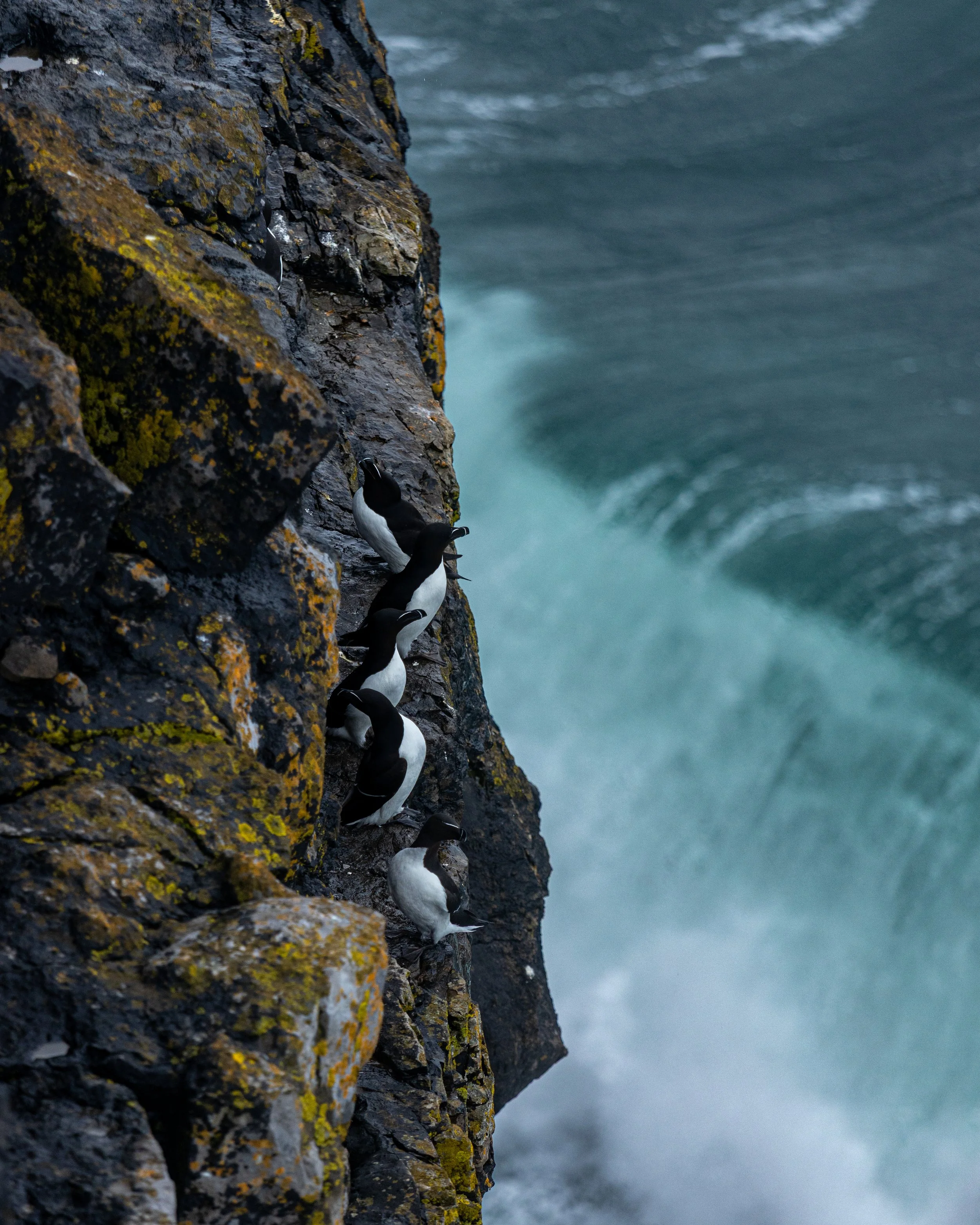 CLIFFS OF ACHILL -36.jpg