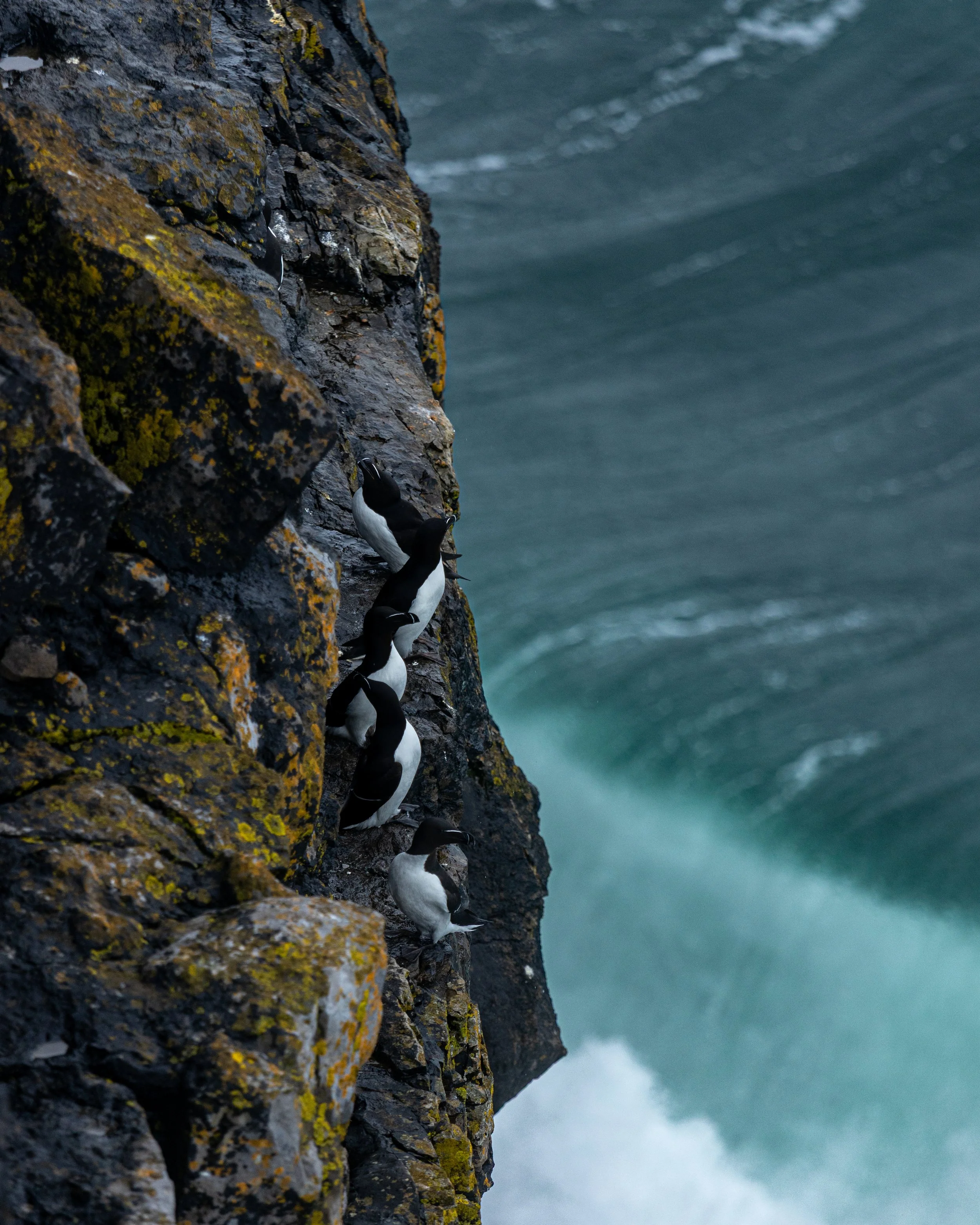 CLIFFS OF ACHILL -37.jpg