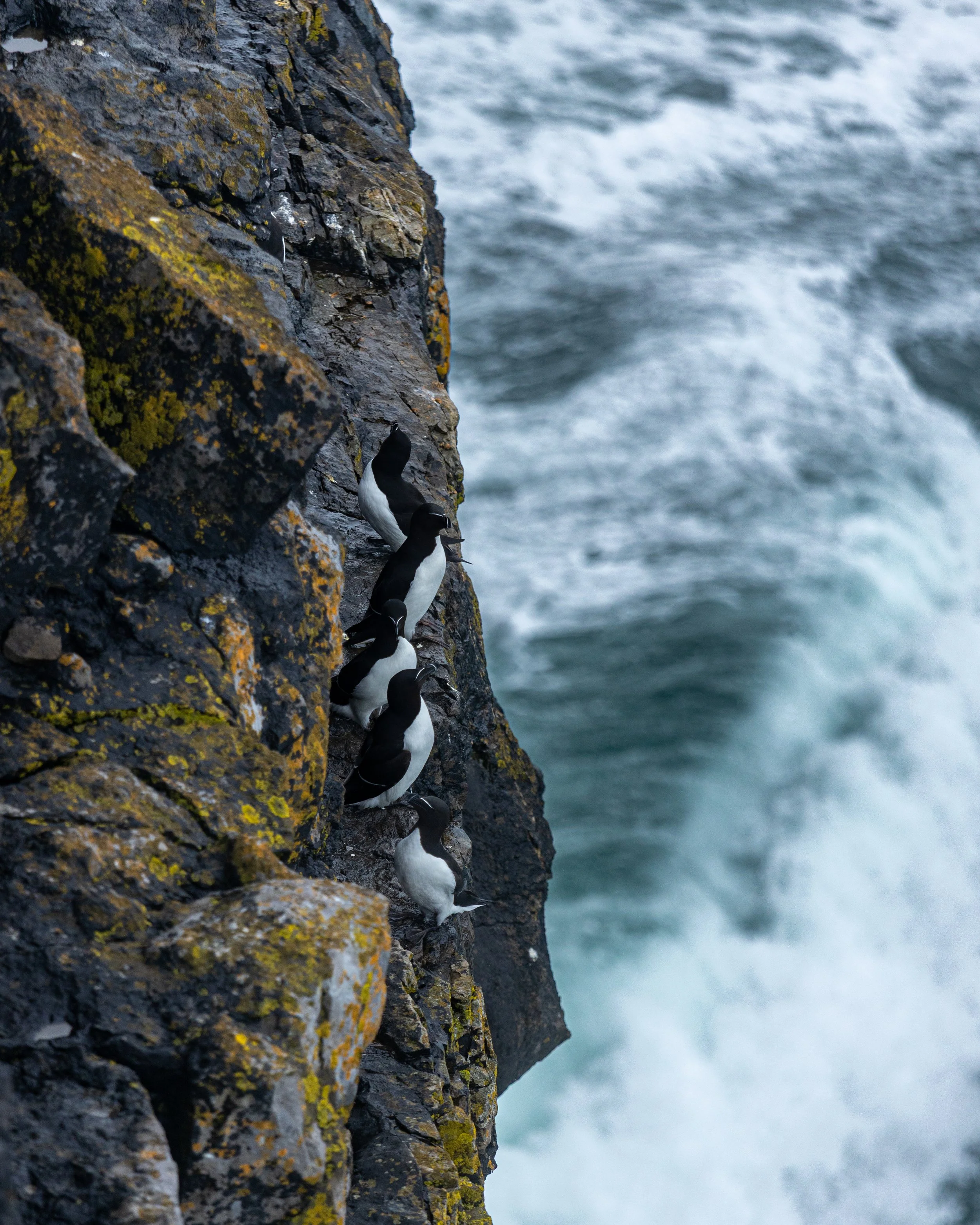 CLIFFS OF ACHILL -38.jpg