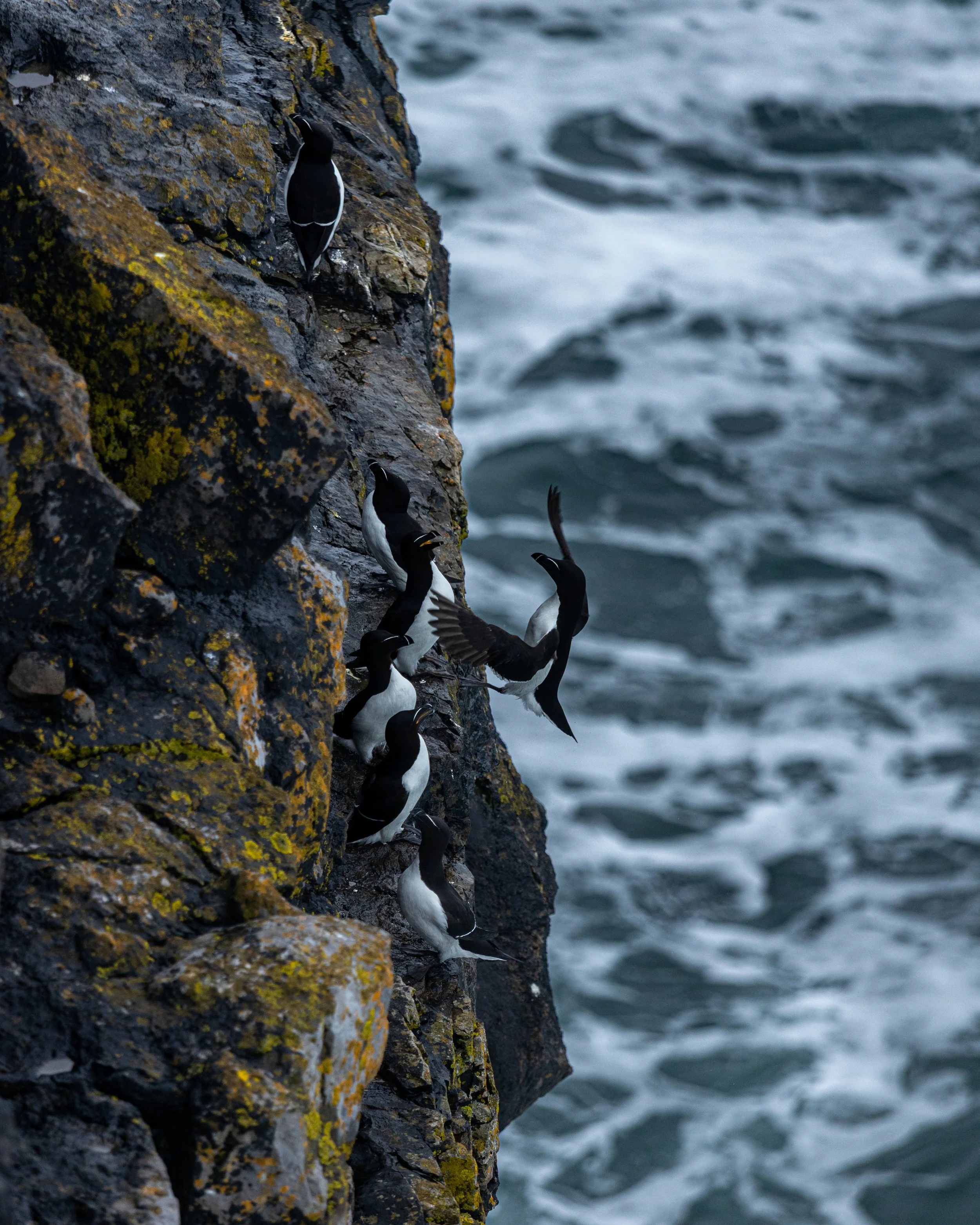 CLIFFS OF ACHILL -39.jpg