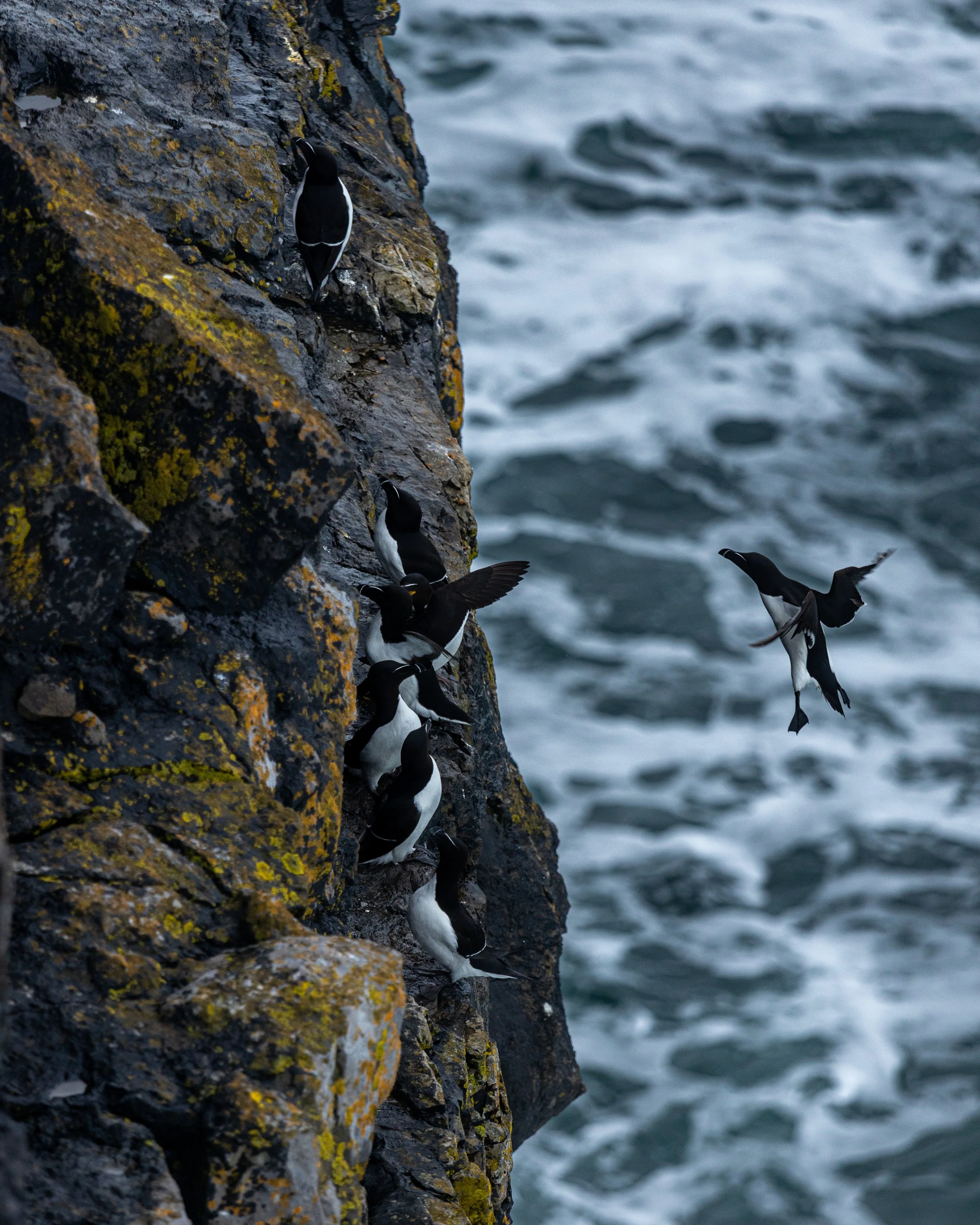 CLIFFS OF ACHILL -40.jpg