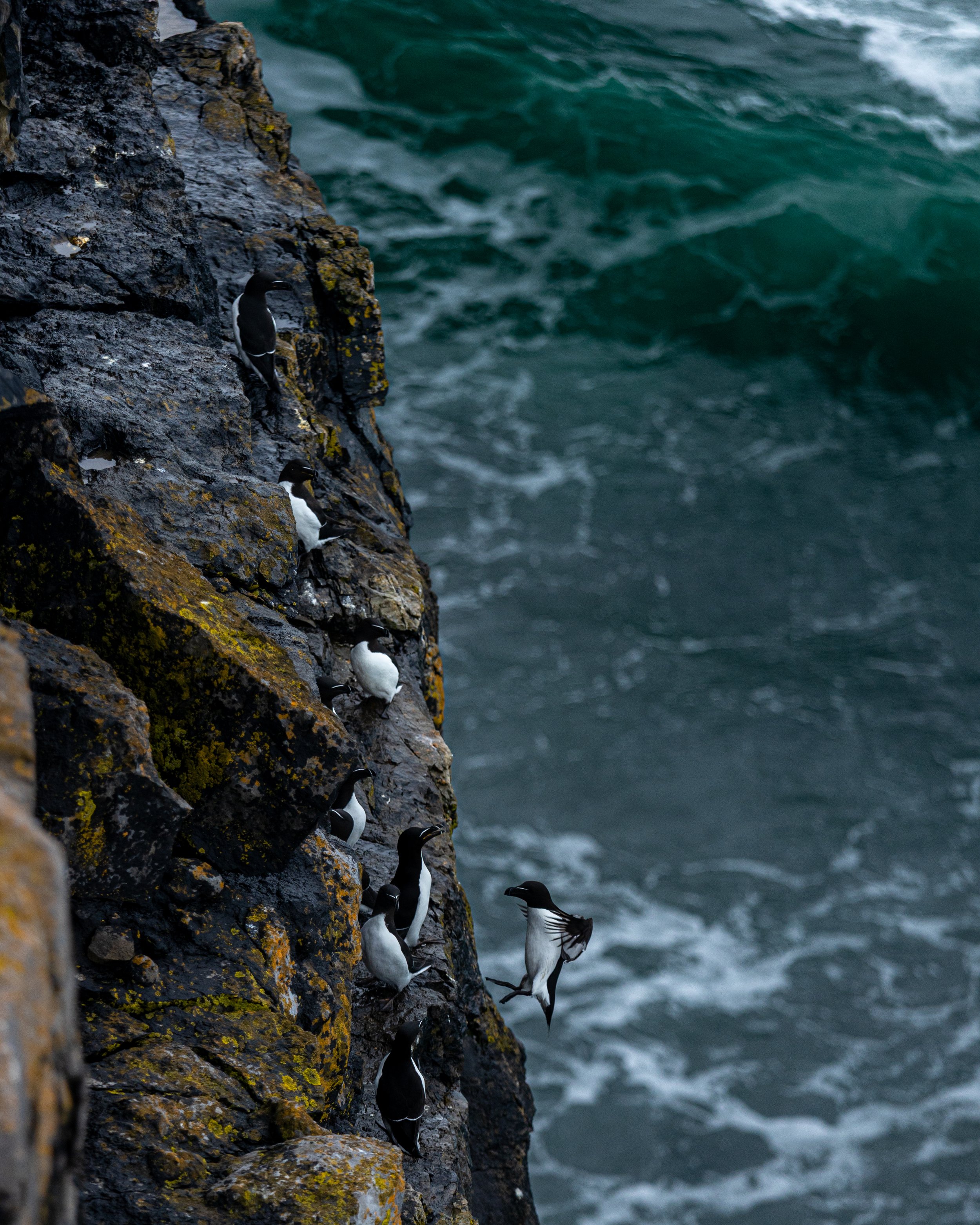 CLIFFS OF ACHILL -41.jpg
