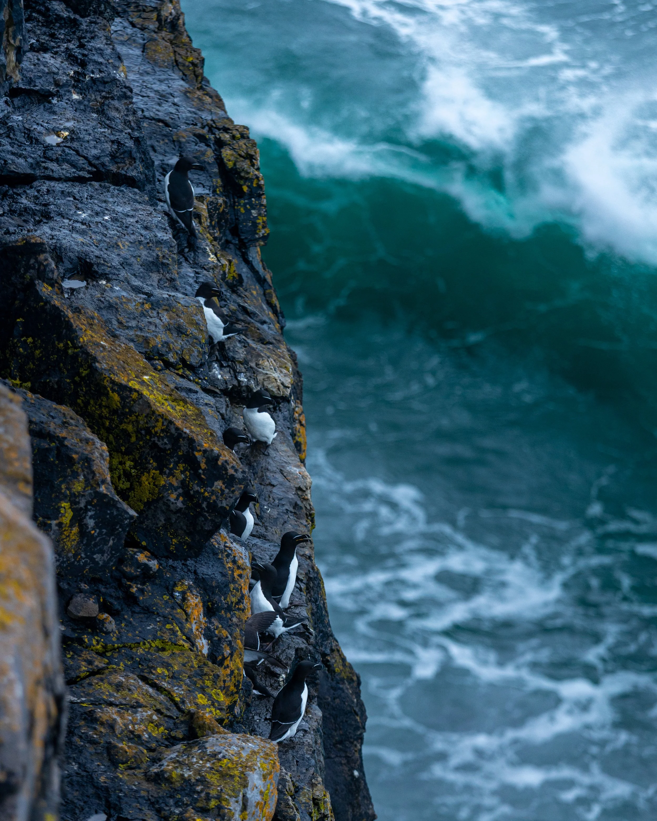 CLIFFS OF ACHILL -42.jpg
