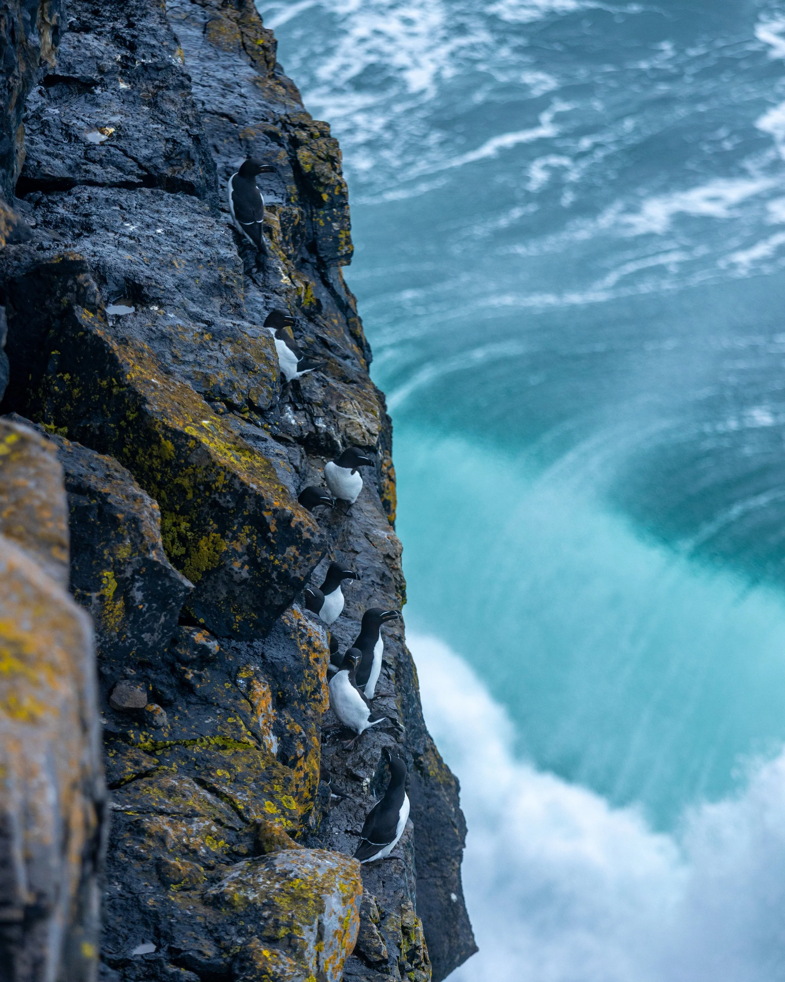 CLIFFS OF ACHILL -43.jpg