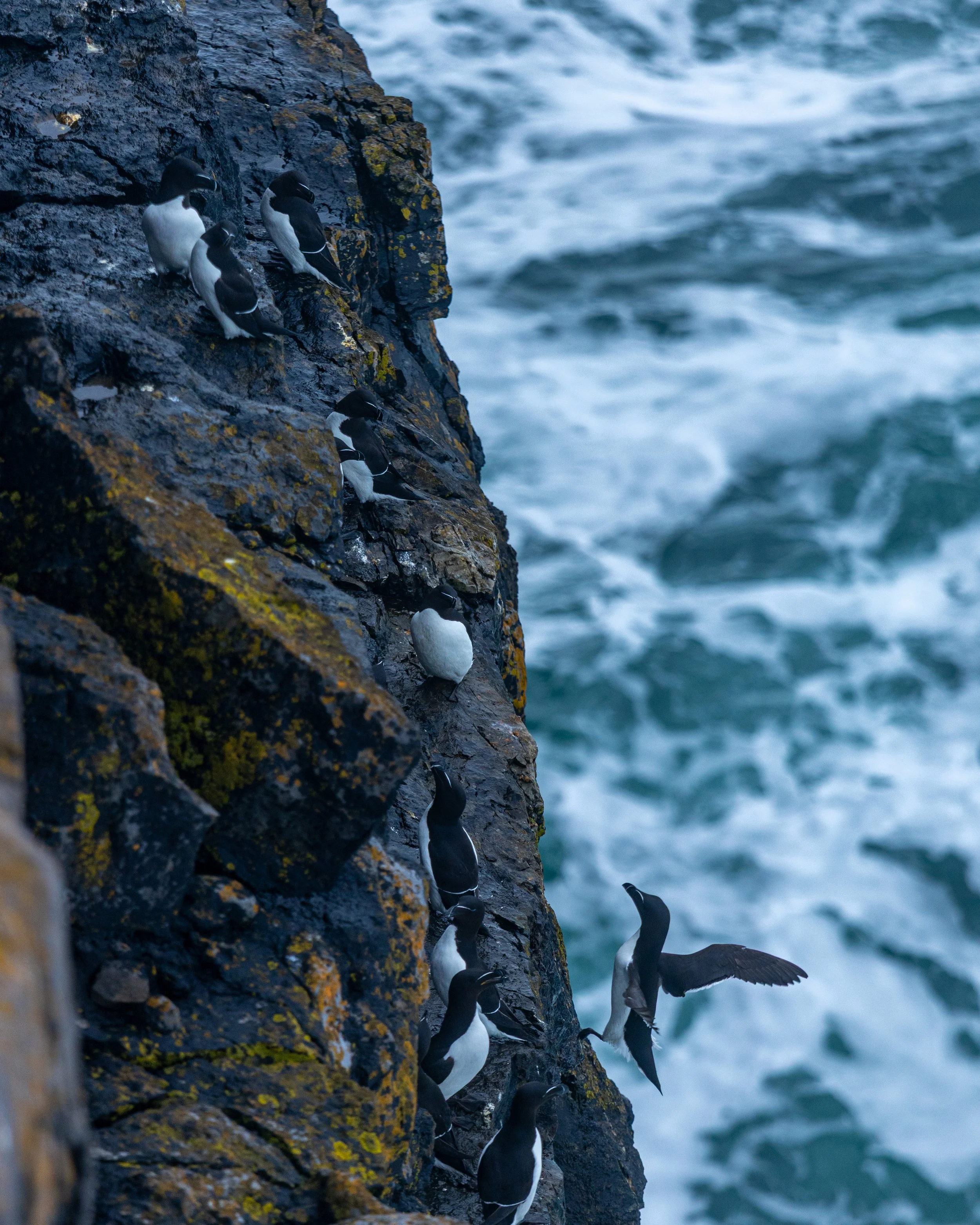CLIFFS OF ACHILL -45.jpg