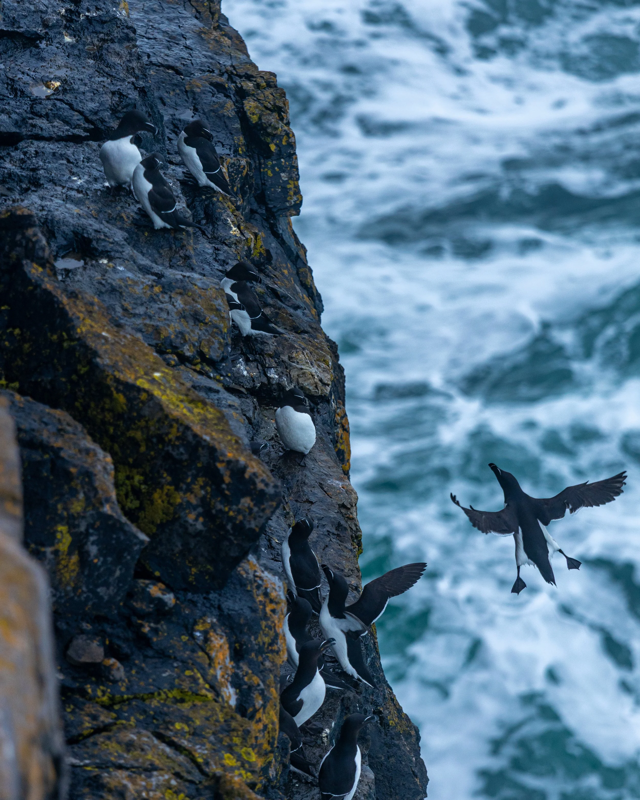 CLIFFS OF ACHILL -46.jpg