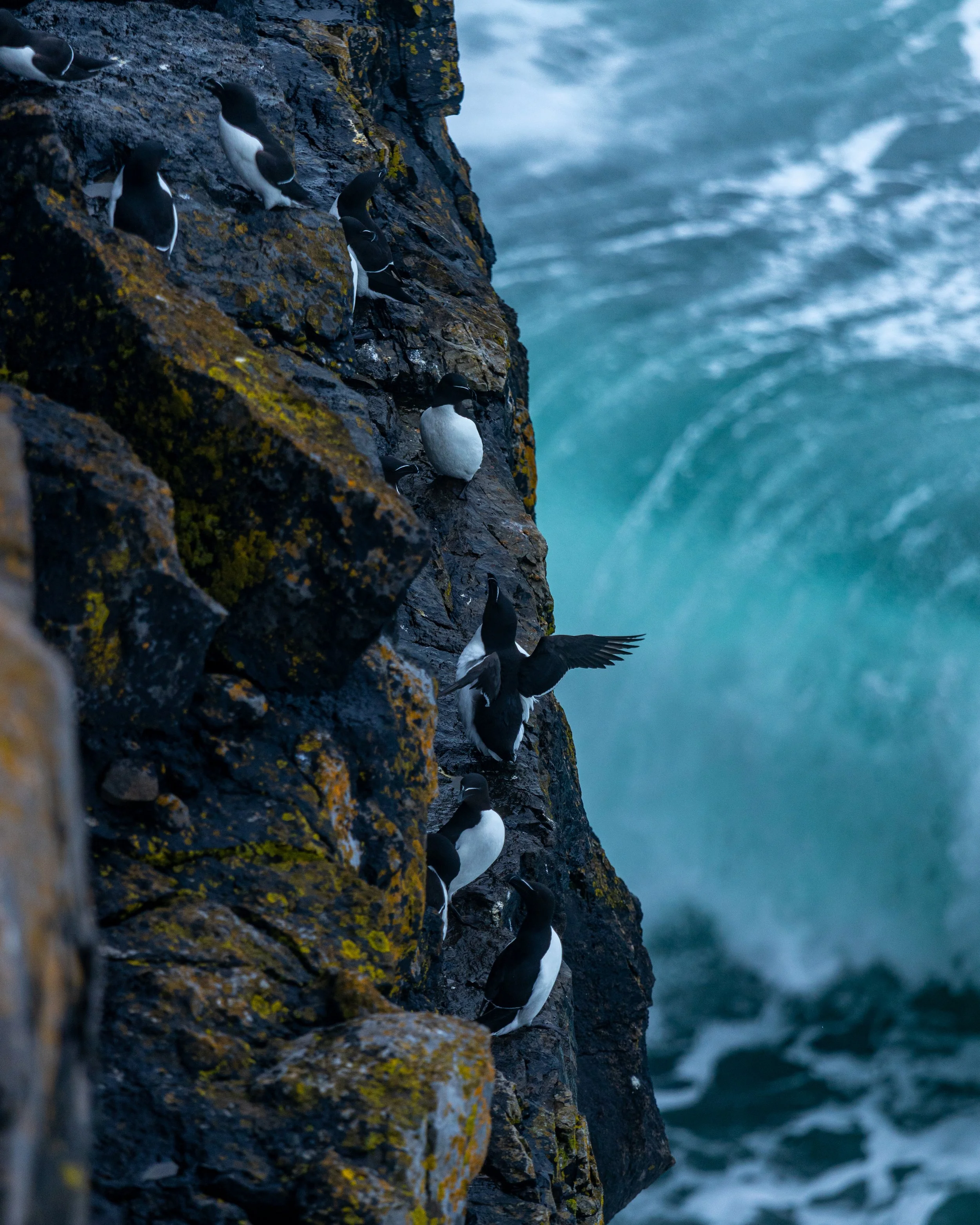 CLIFFS OF ACHILL -49.jpg