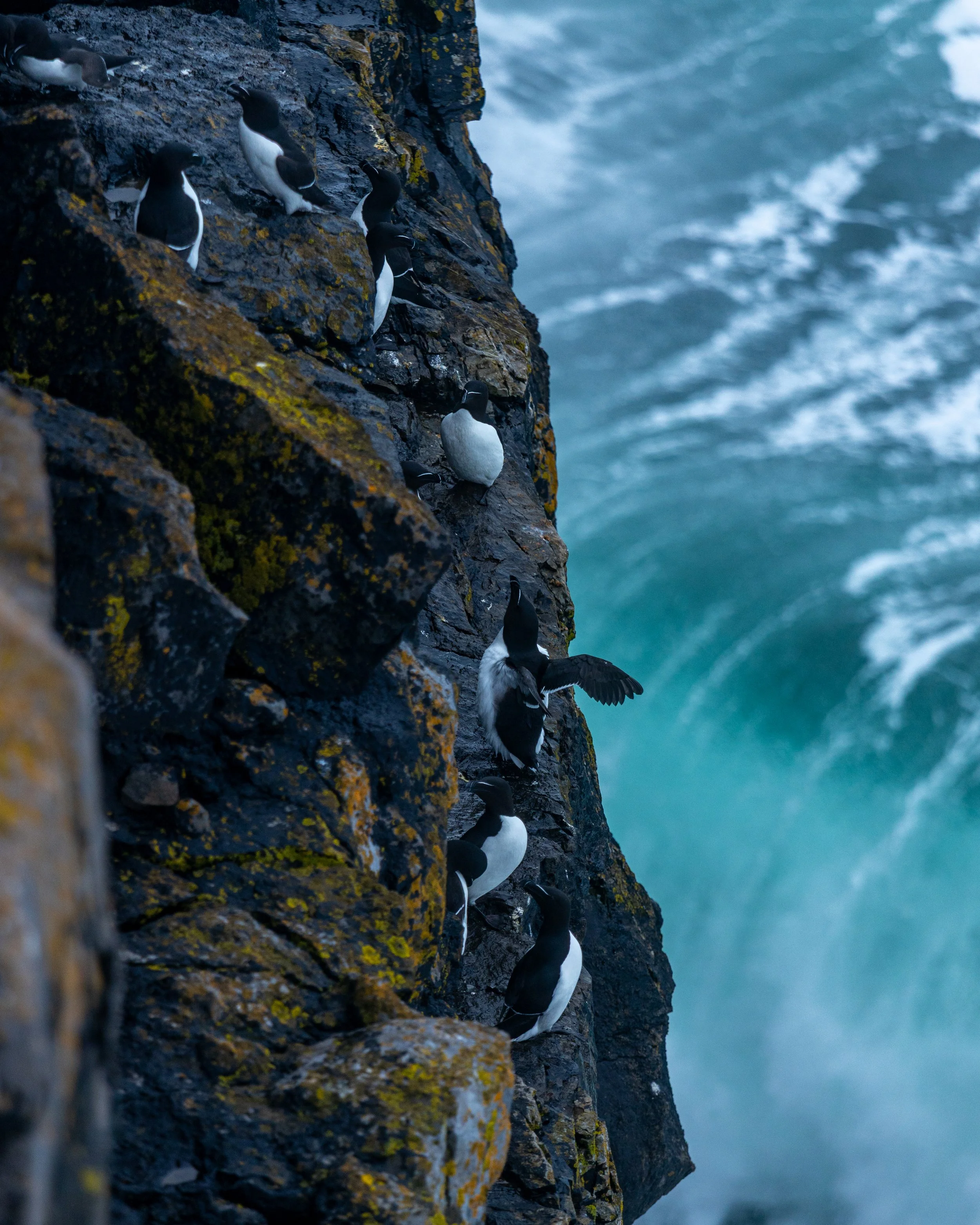 CLIFFS OF ACHILL -51.jpg