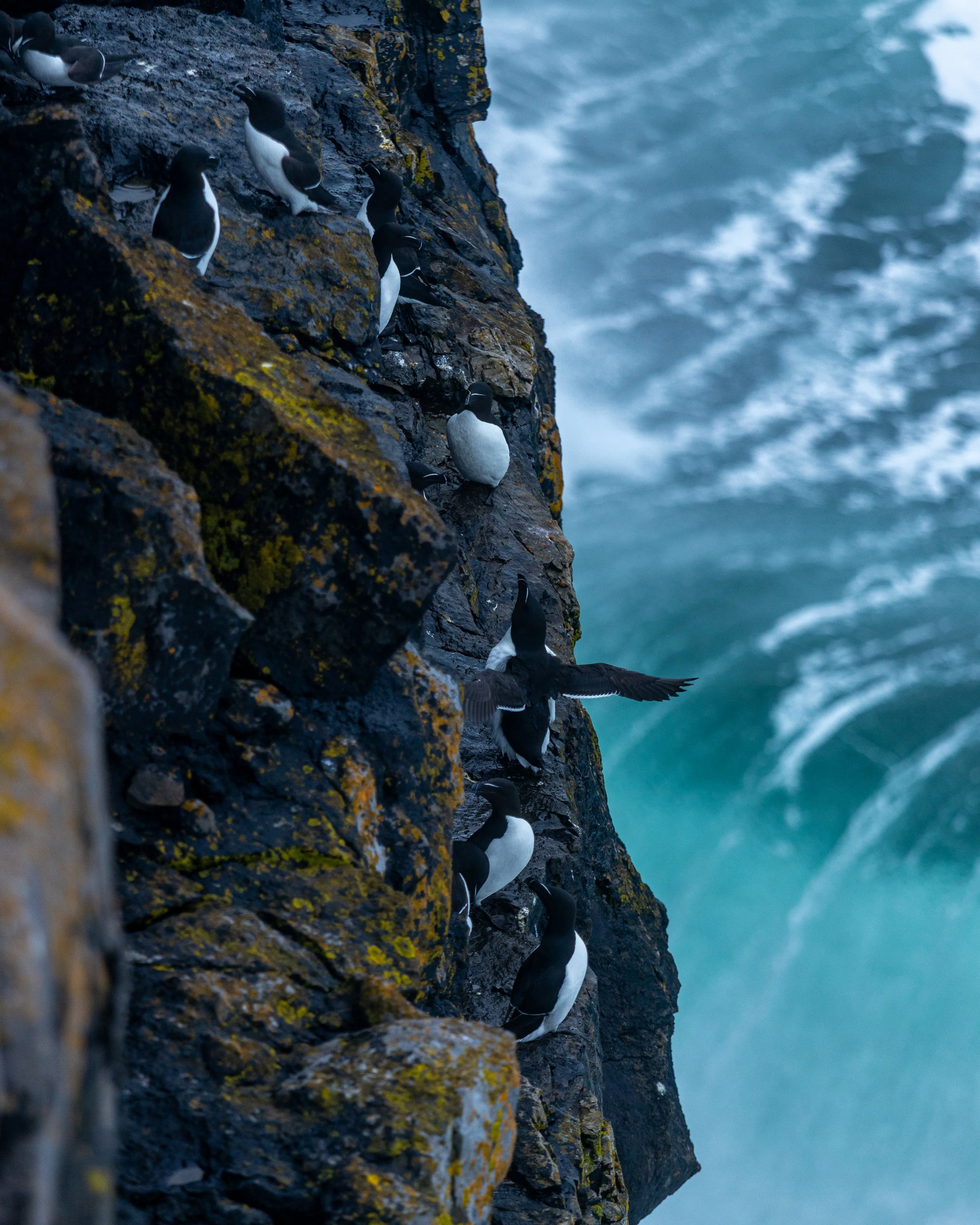 CLIFFS OF ACHILL -52.jpg