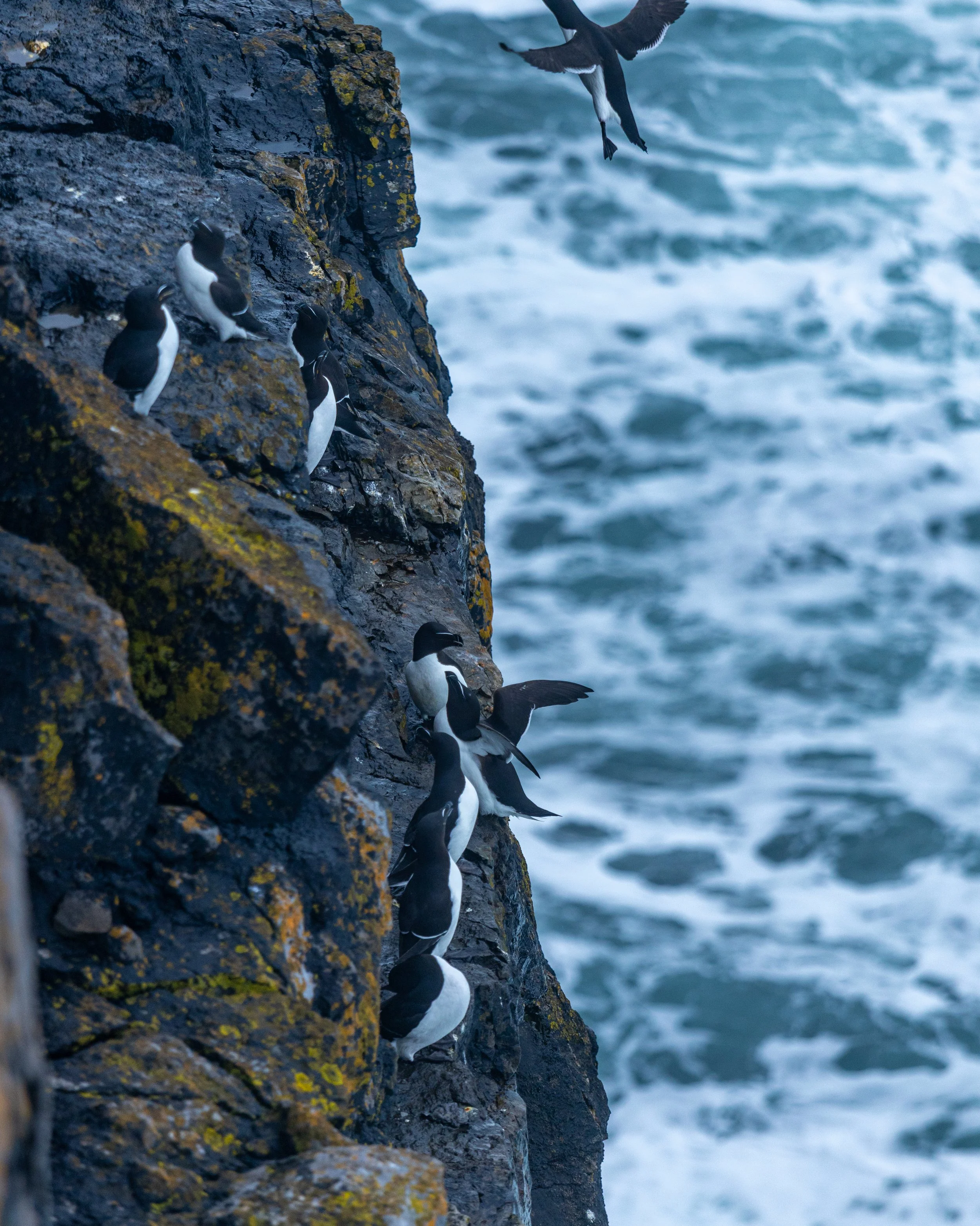 CLIFFS OF ACHILL -53.jpg