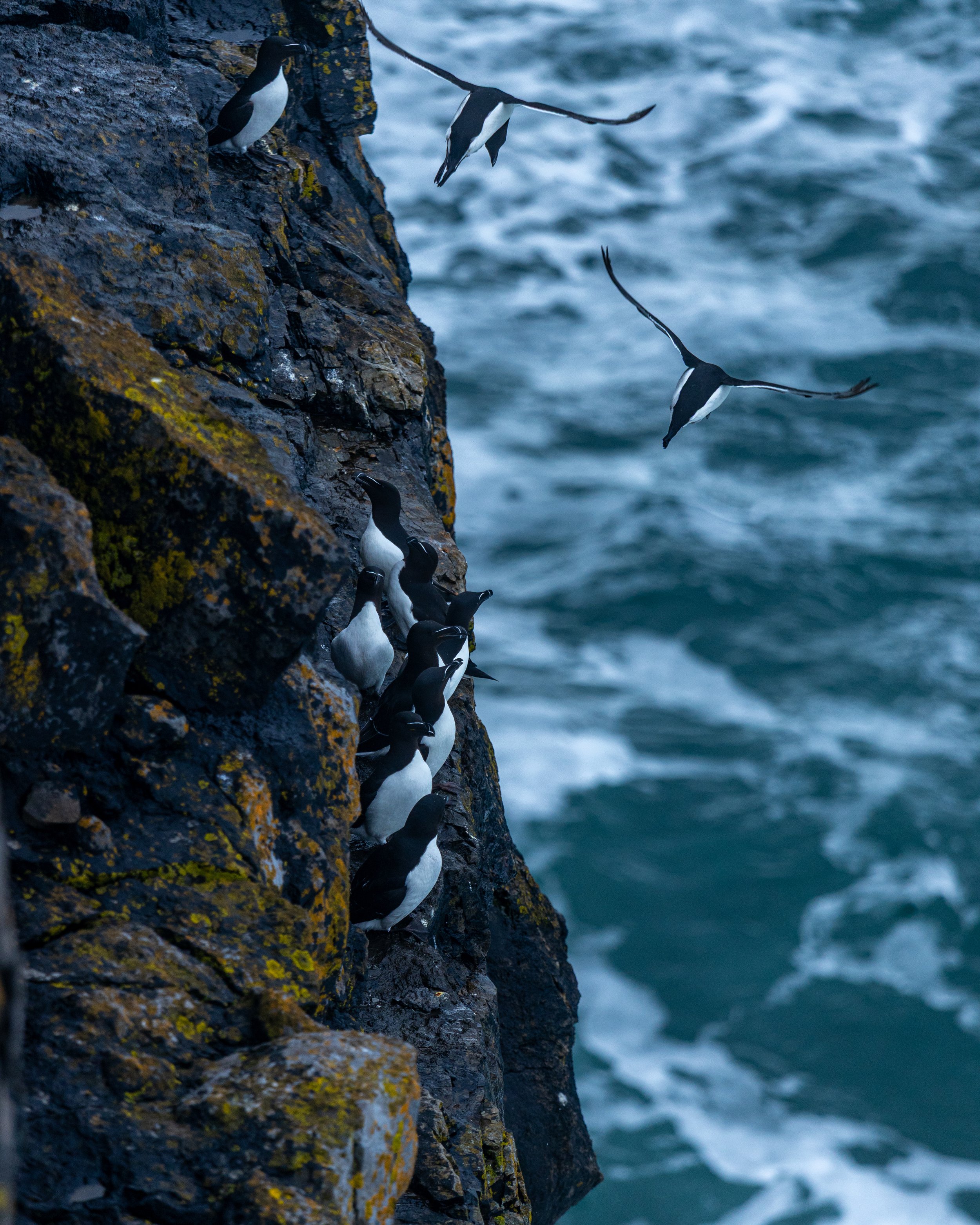 CLIFFS OF ACHILL -56.jpg