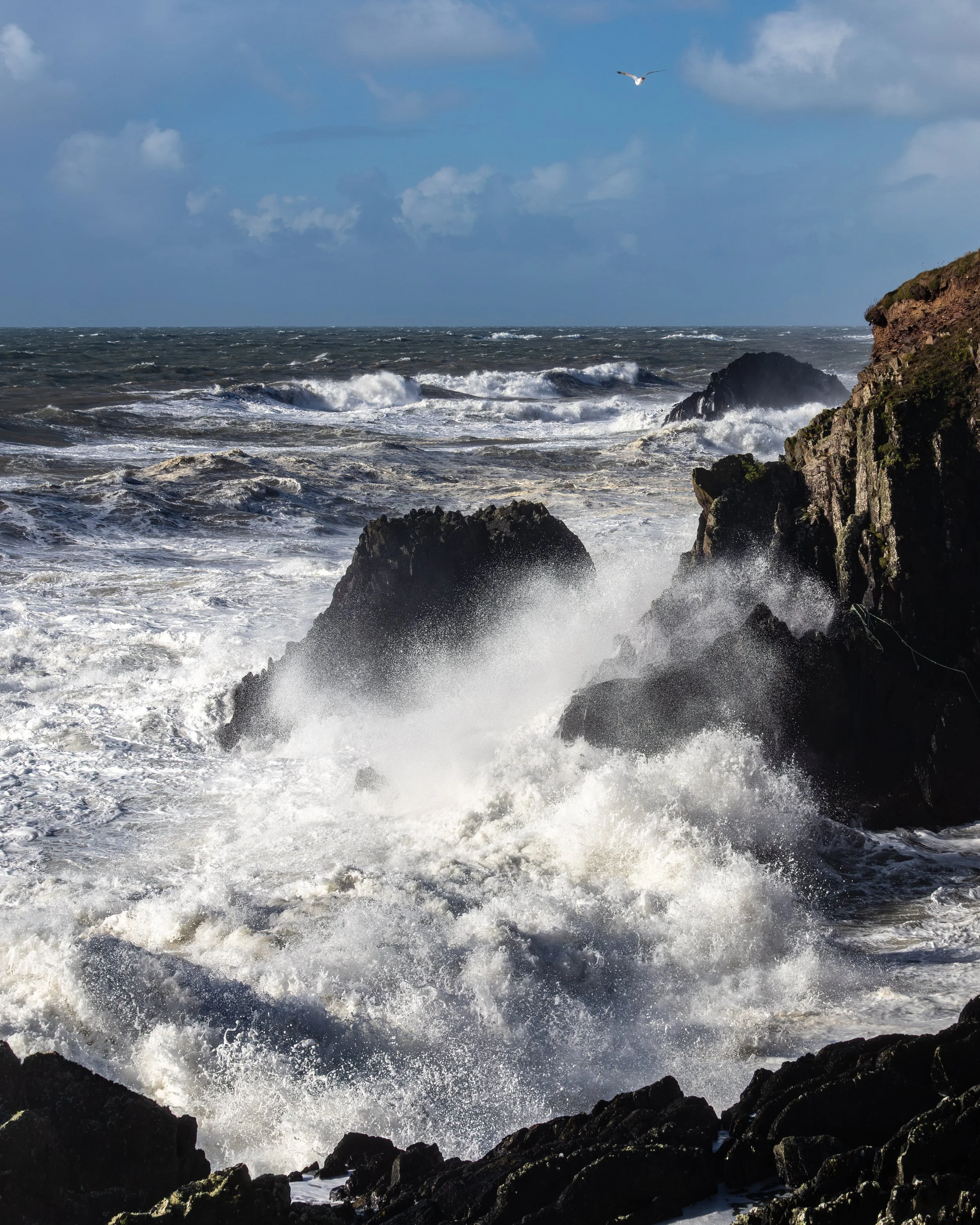 ballycotton cliff waves 8x10-9.jpg