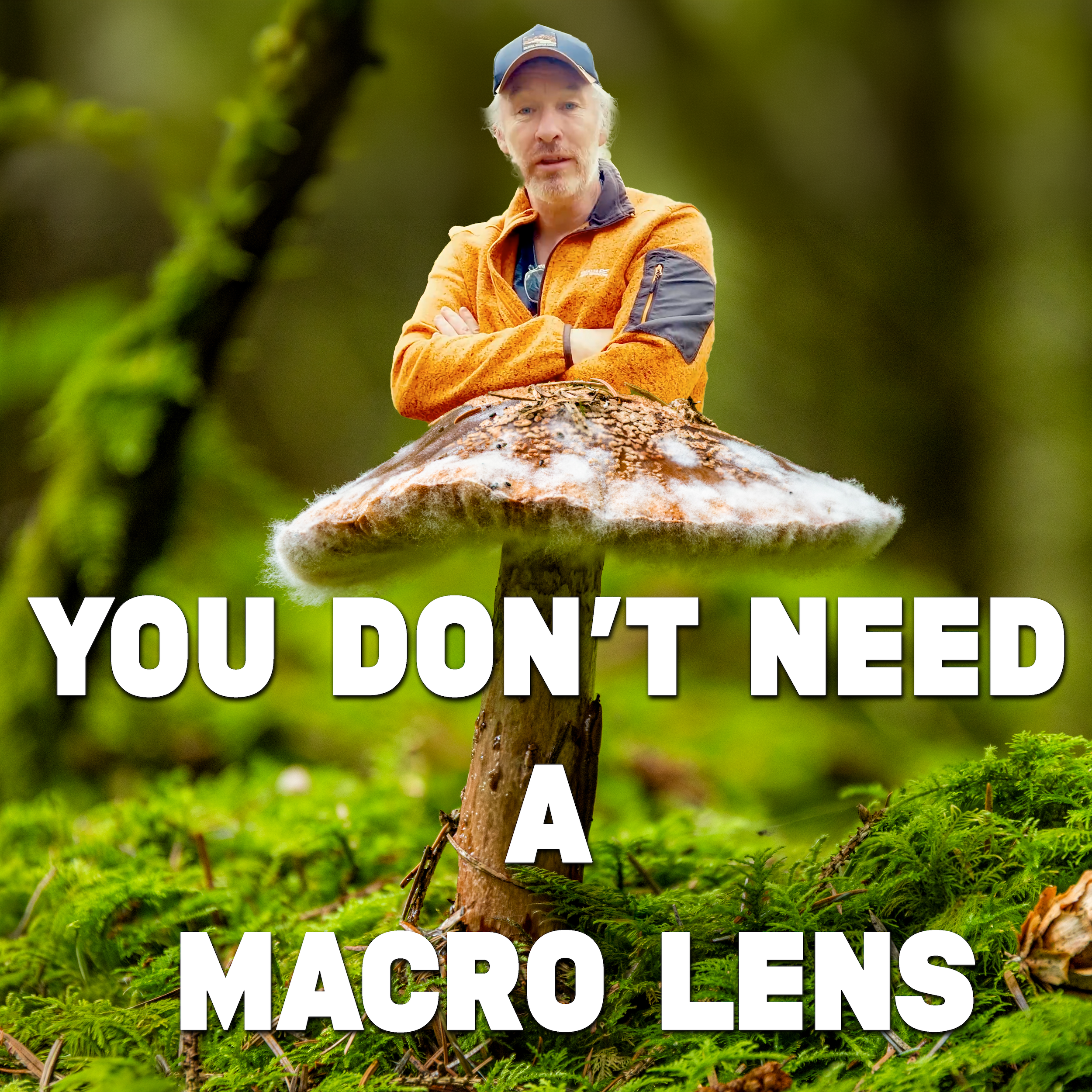 Mushroom Photography Without a Macro Lens: How I Used Focus Stacking