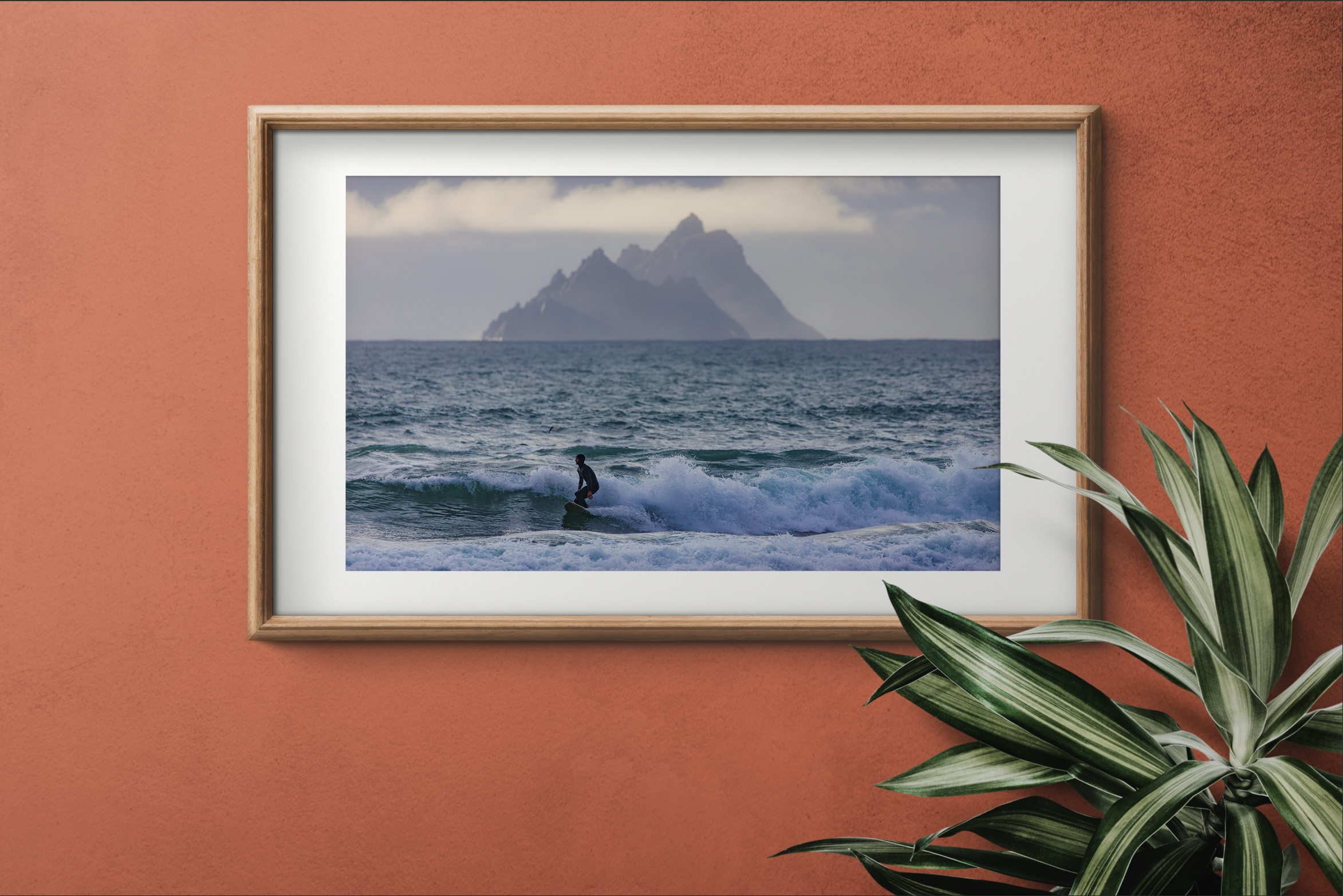 Screenshot 2026-02-25 at 17.31.20.png