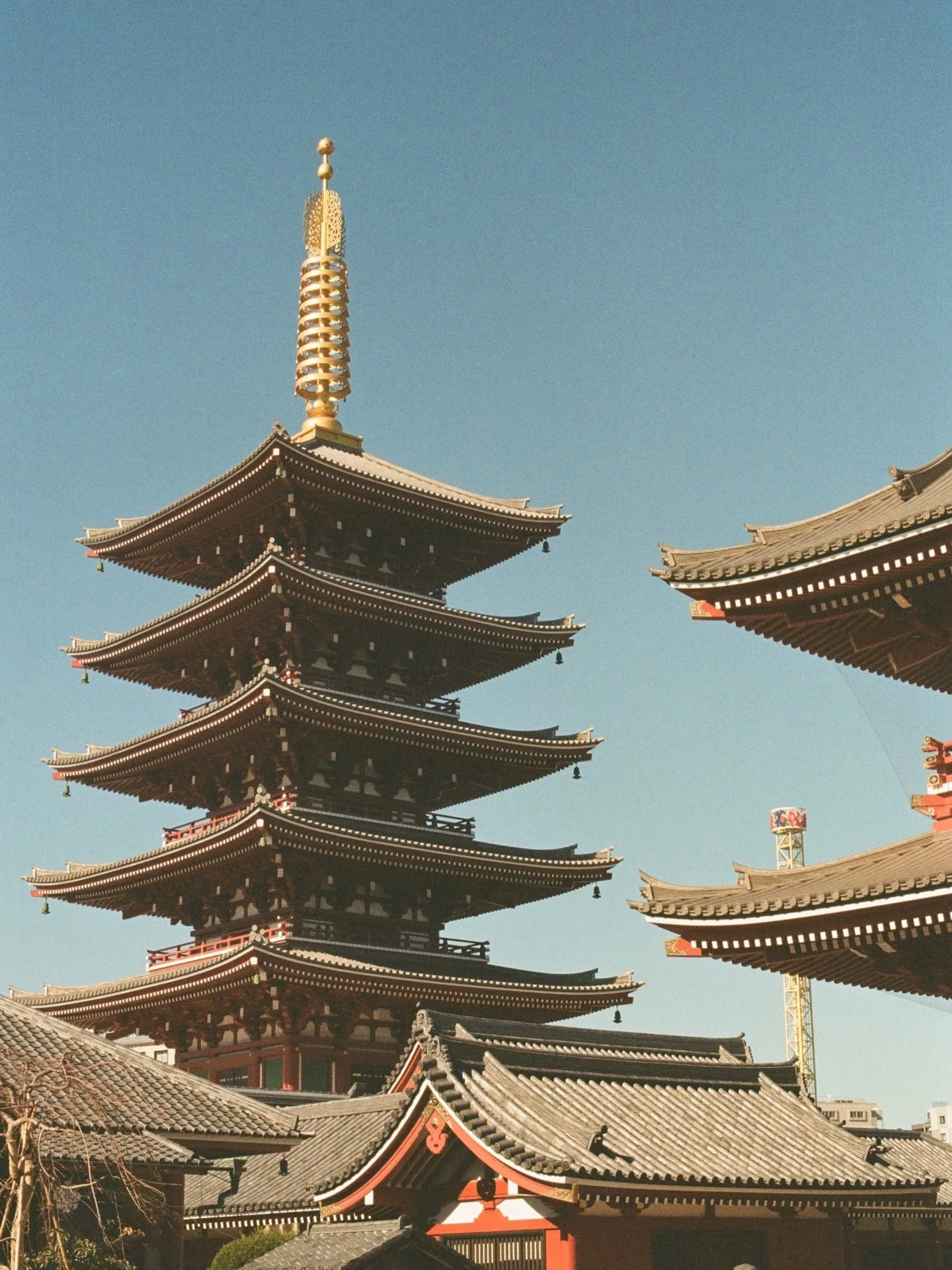 Tokyo on Fujifilm !!

#fujifilm #35mmfilm #filmphotomag #filmtravel #travelphotos