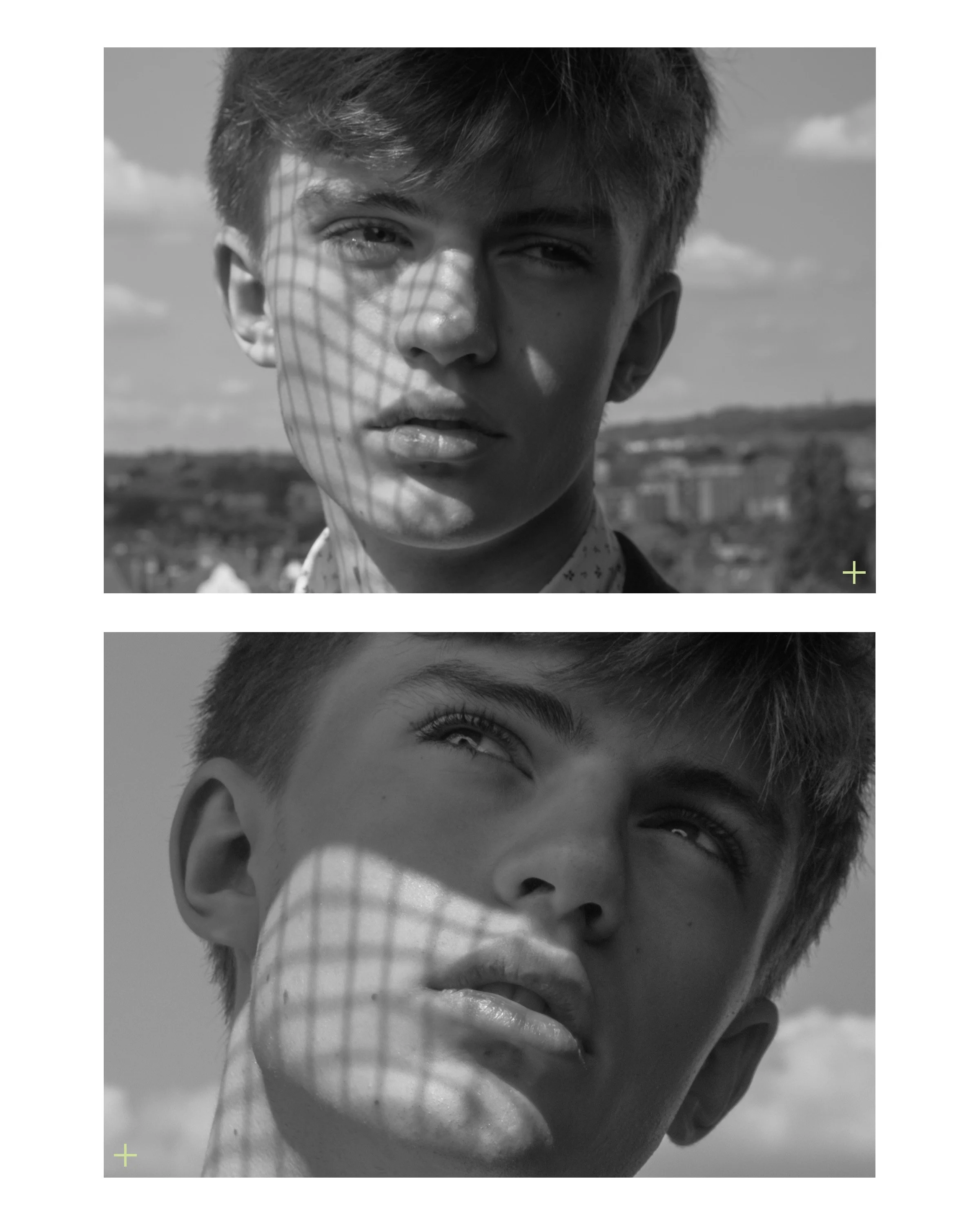 marley collage4.jpg