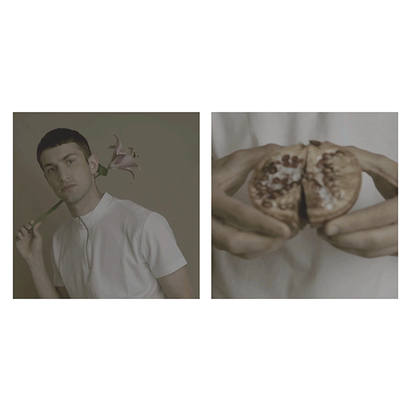 Pomegranate-flower-IG-Post-.gif