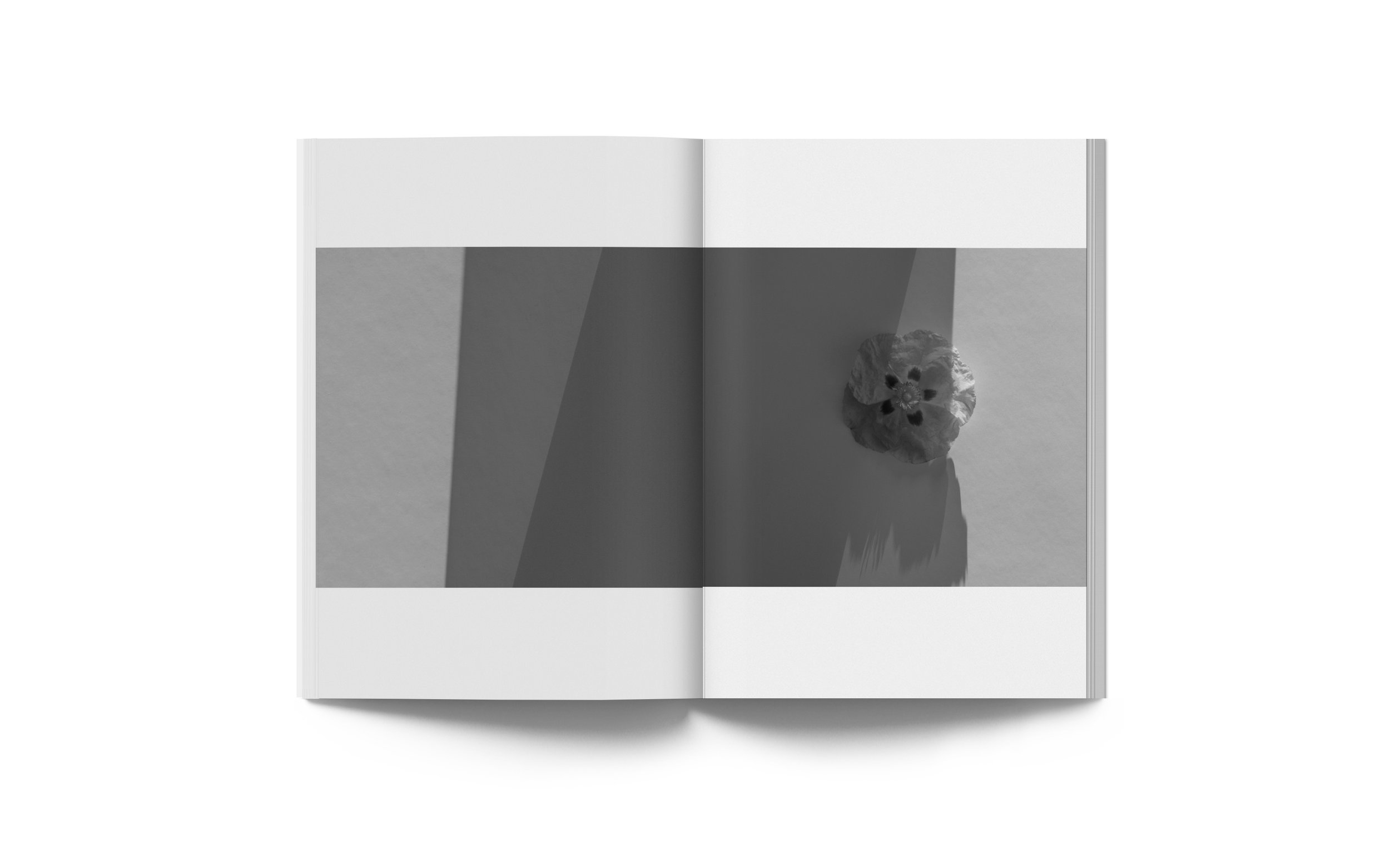Spread07LQ.jpg