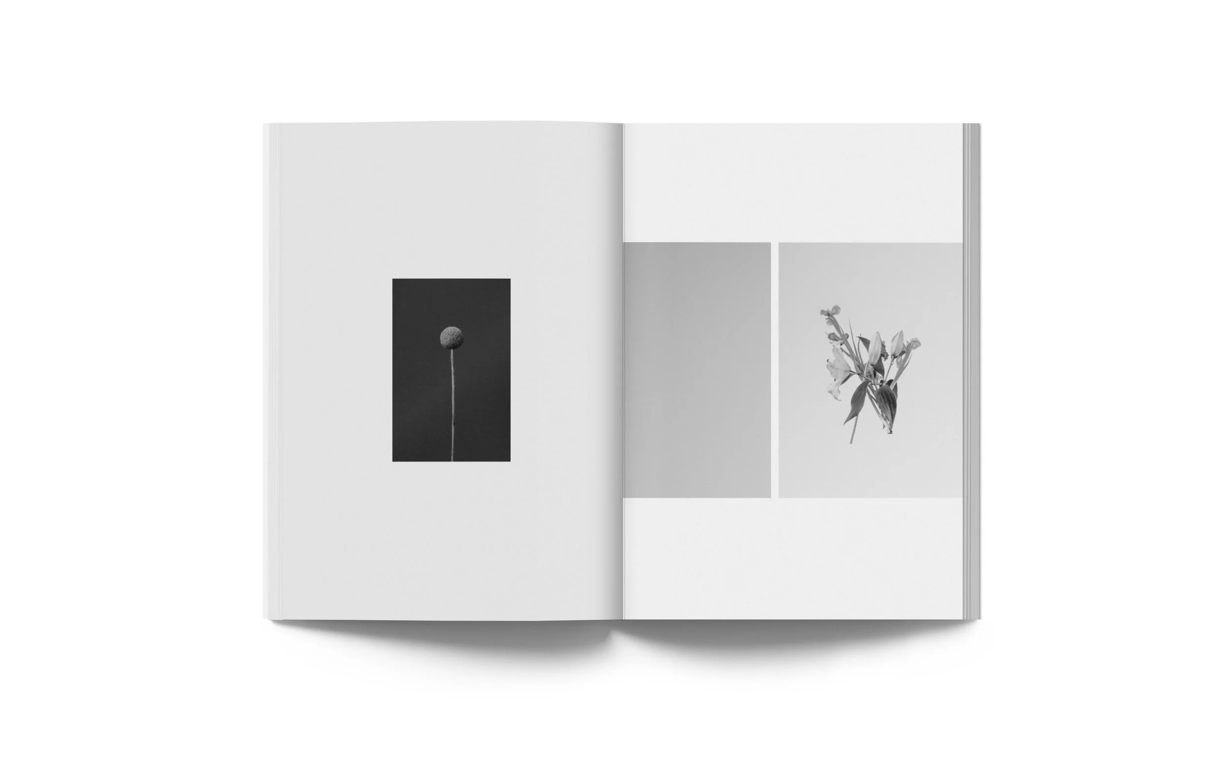 Spread08LQ.jpg