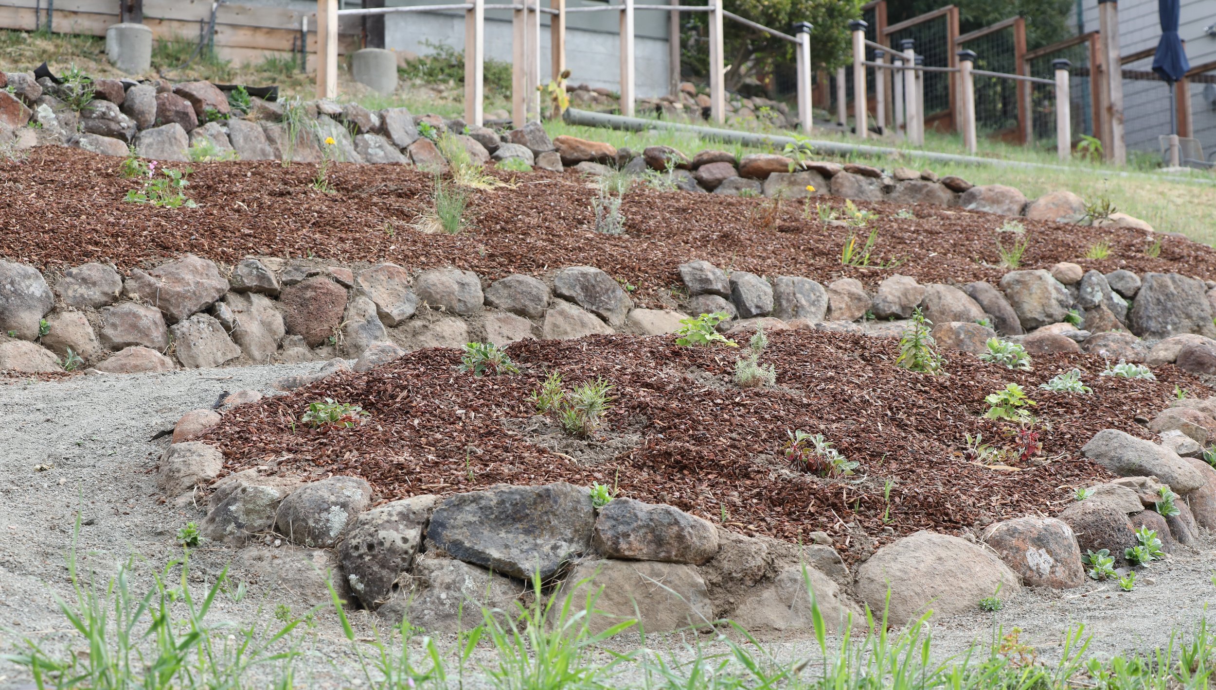 After planting.
