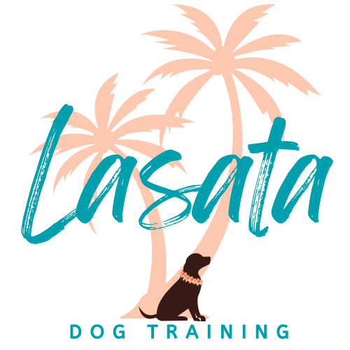 Lasata Dog Training