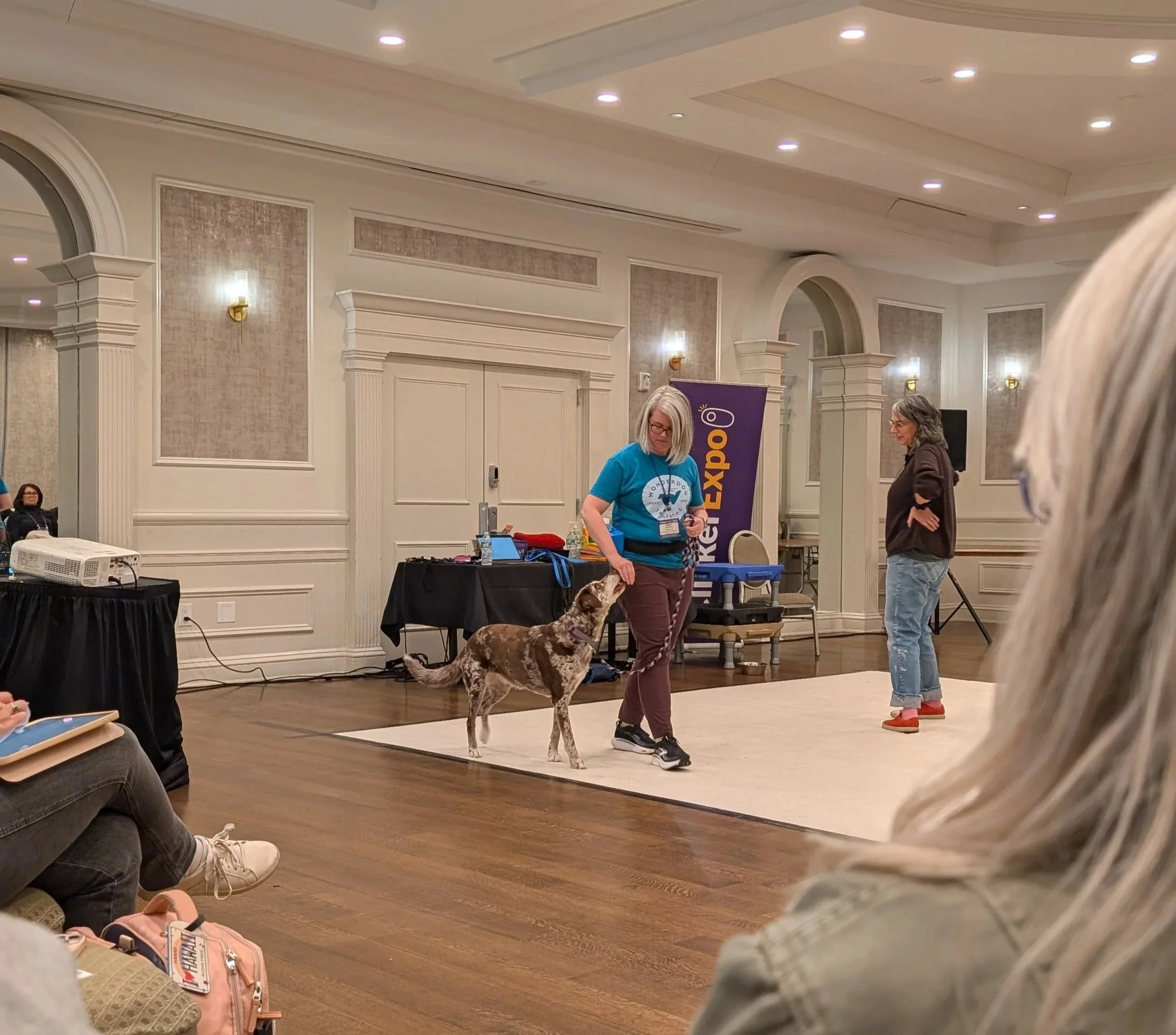 Kiki Yablon, teaching leash walking skills during Clicker Expo