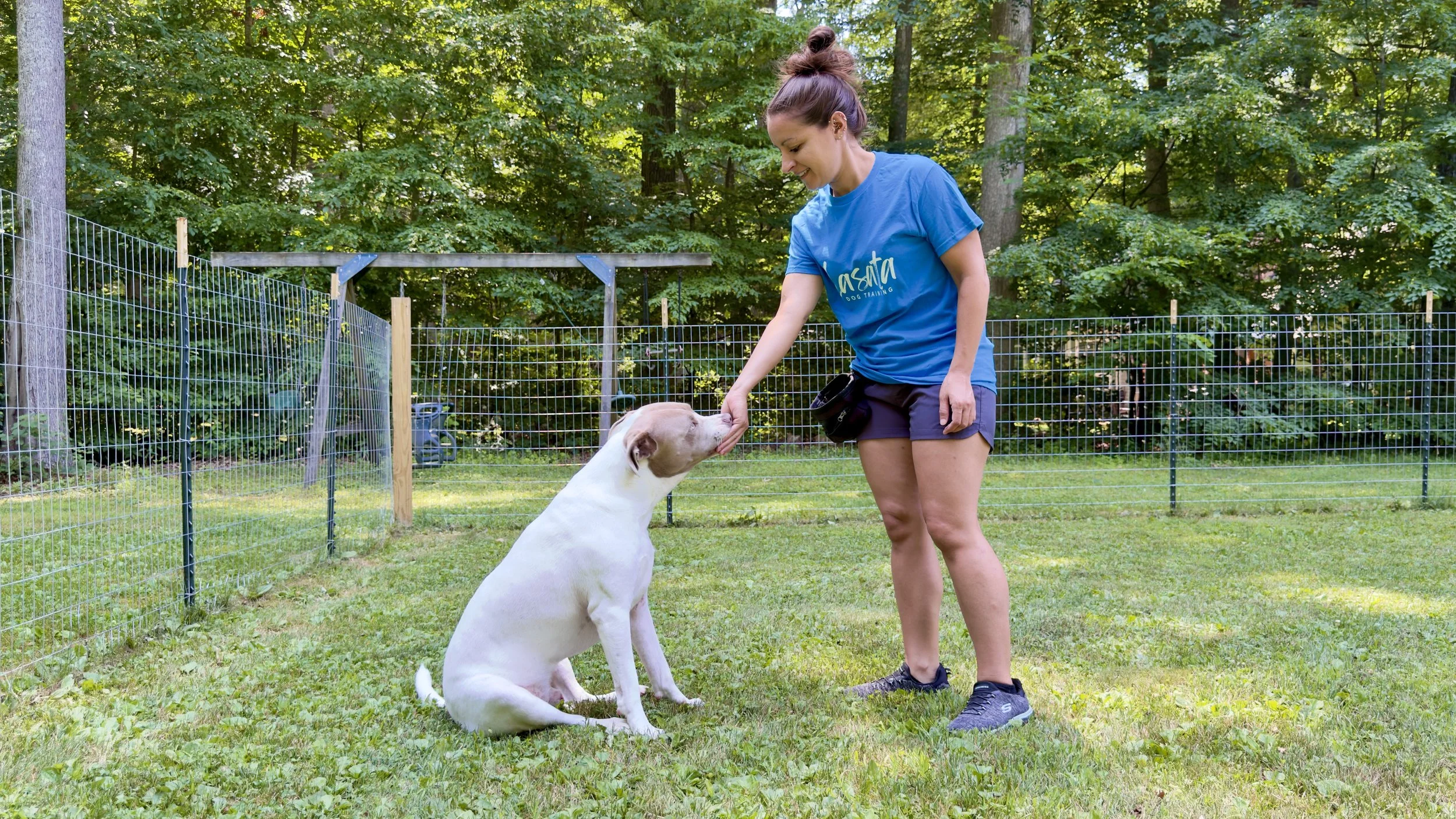 Cori Tufano, head trainer at Lasata Dog Training, feeding a treat to a white and brown dog as he sits in front of her
