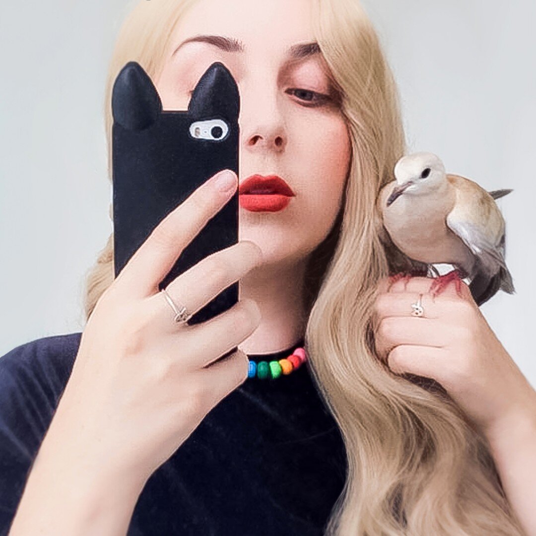 Oh, hai! 🥰❤✨ Meet my new best friend, Mashmellow the ringneck dove! 

I have always been a huge animal lover as I grew up with many pets. My Dad breeds many rare and exotic birds, so we lived rurally in a beautiful home away from the noise of the ci