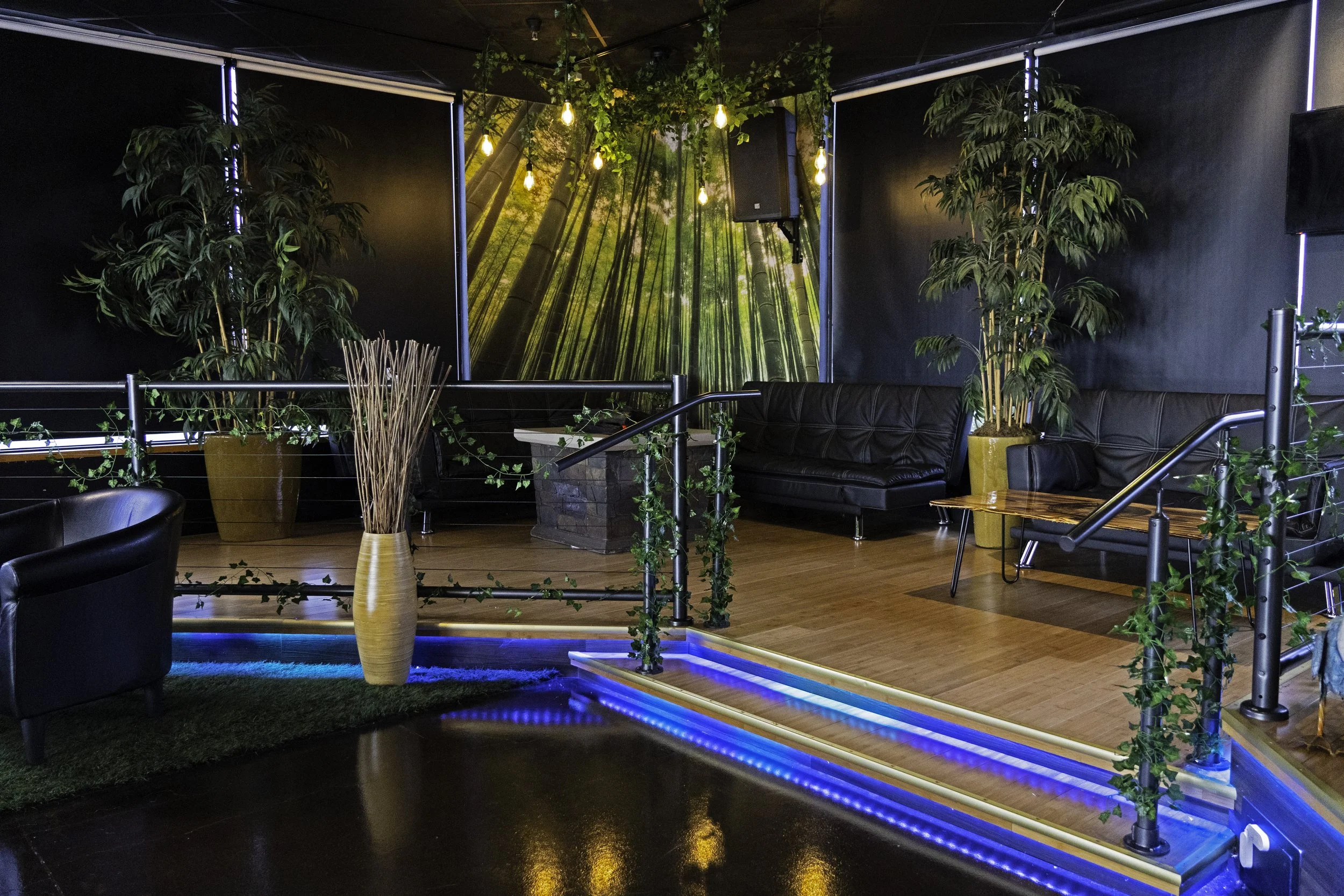 Outdoor seating area with black leather sofas, large potted plants, a forest-themed mural, and warm string lights.