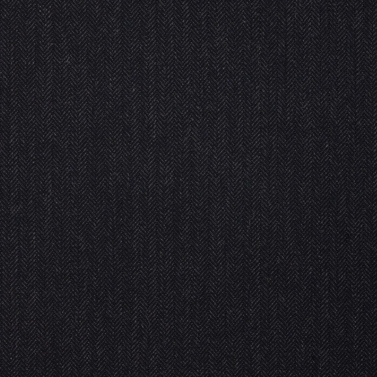 1445.jpg