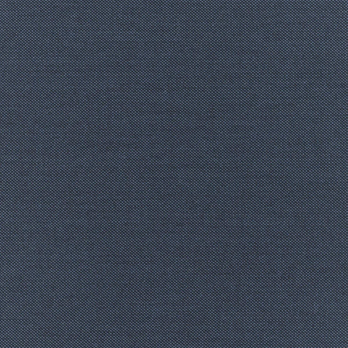 2816.jpg