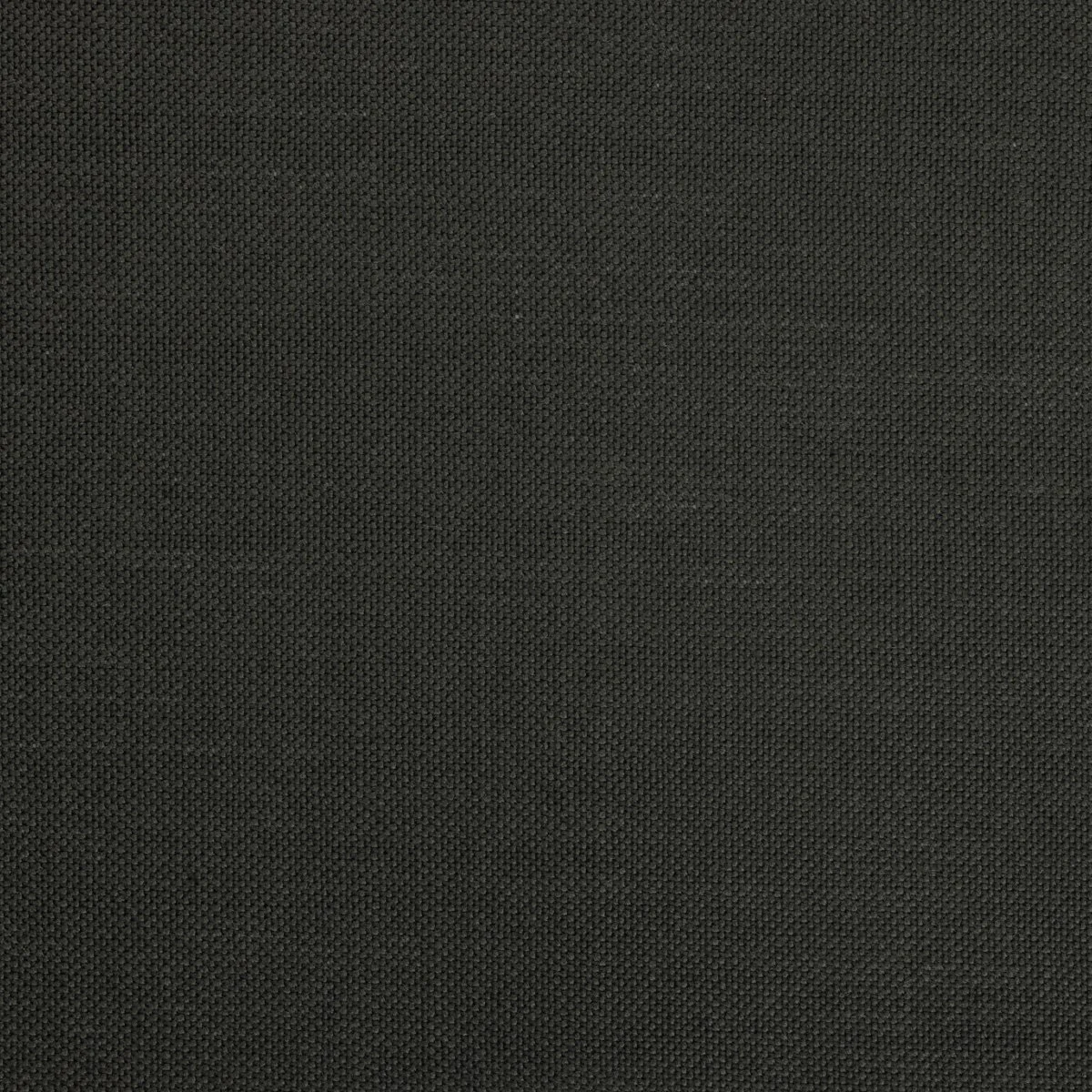 1642.jpg