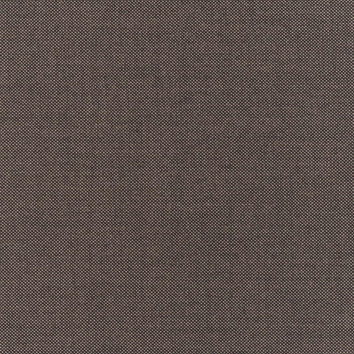 2818.jpg