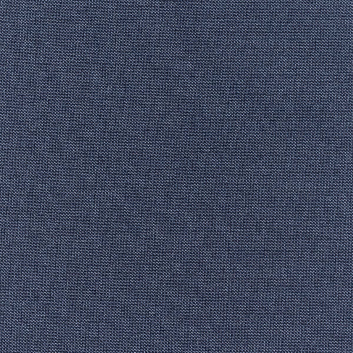2815.jpg