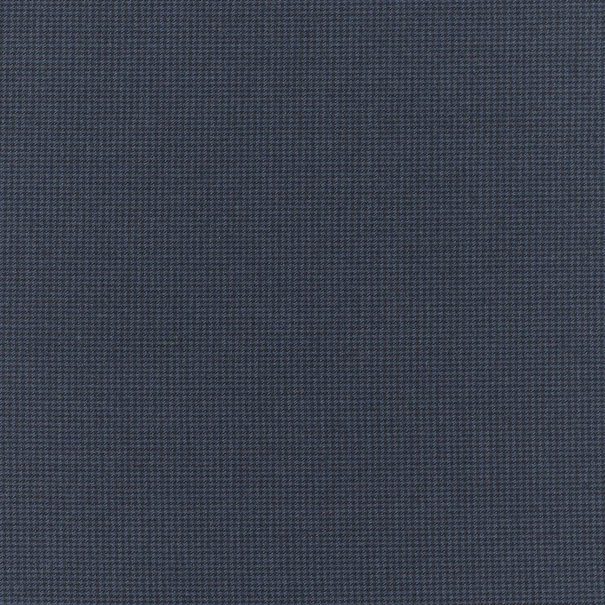 2805.jpg
