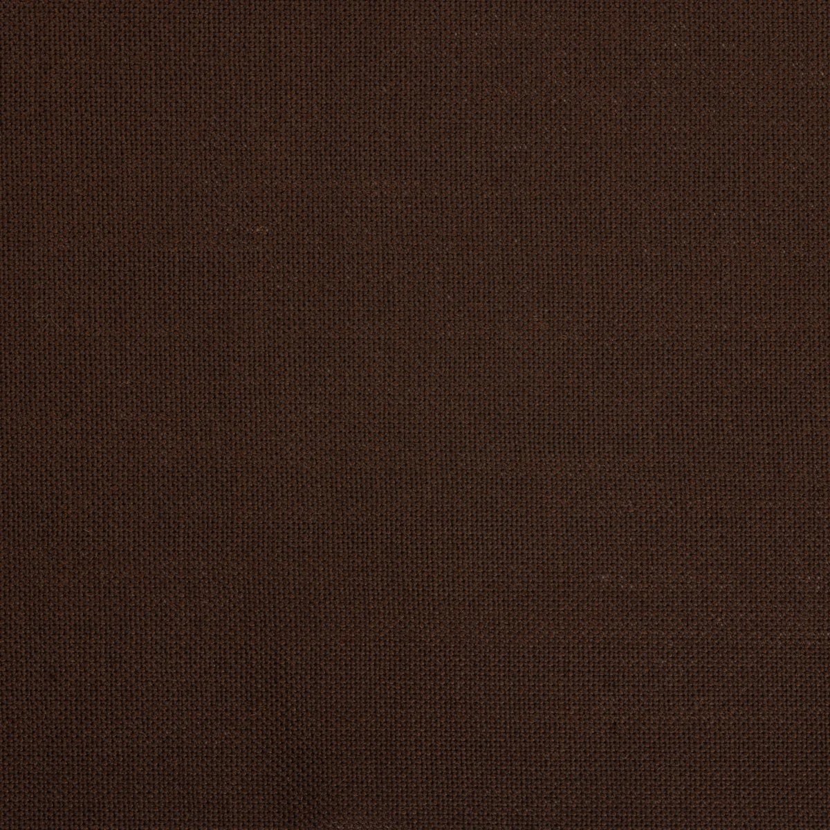 1646.jpg