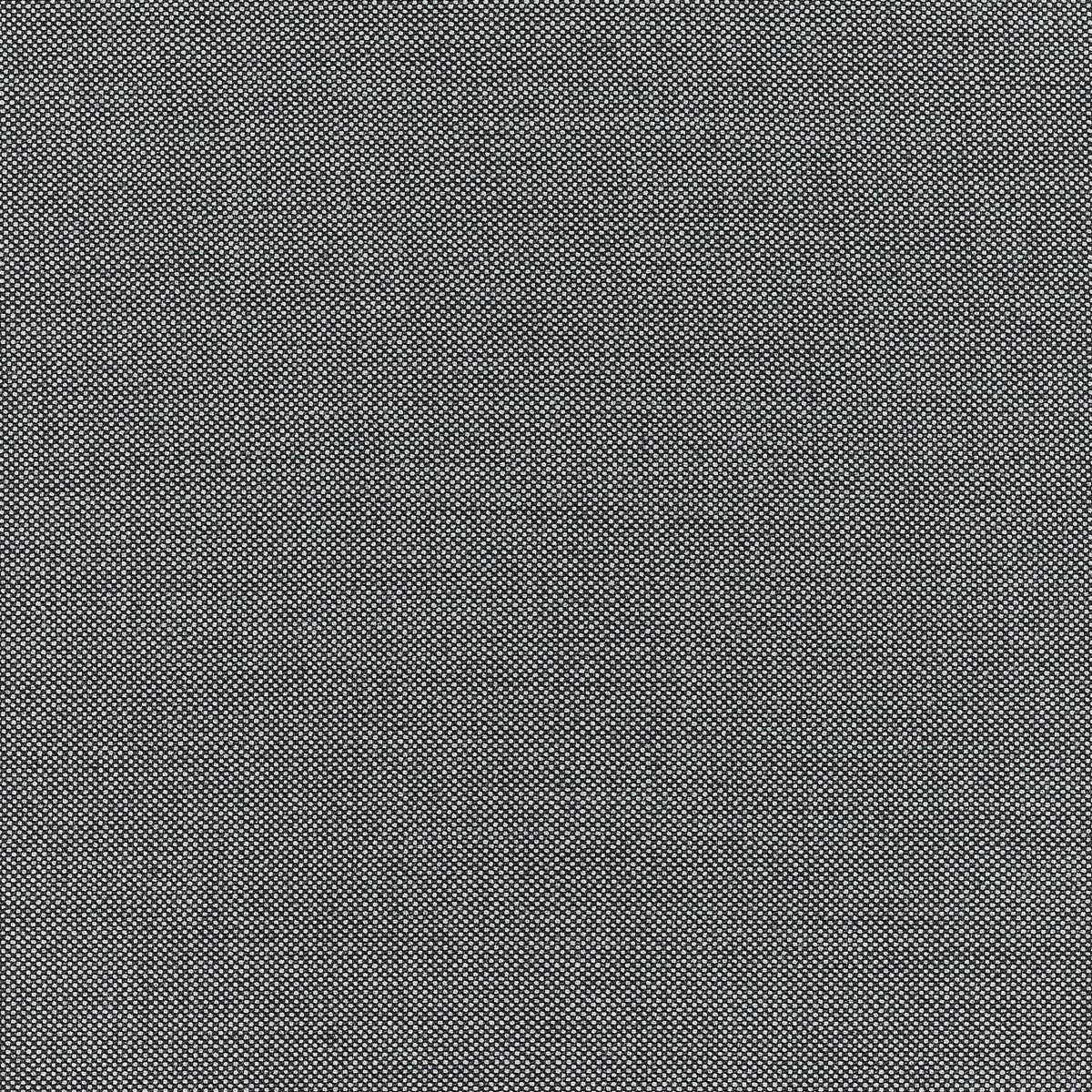 2813.jpg
