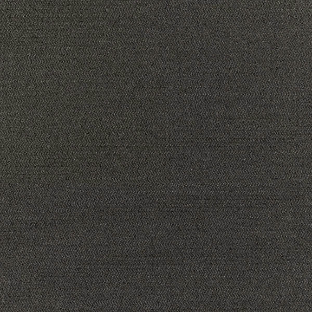 2833.jpg