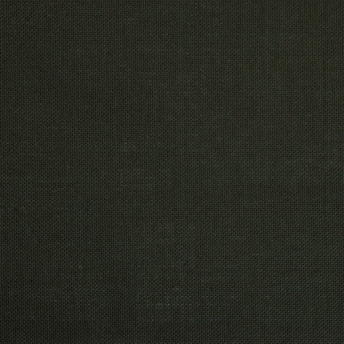 1643.jpg