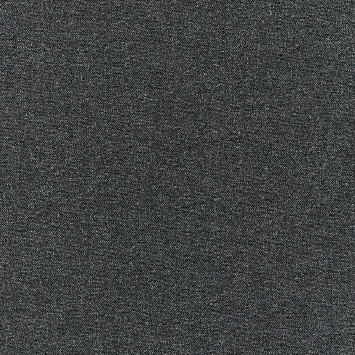 2825.jpg