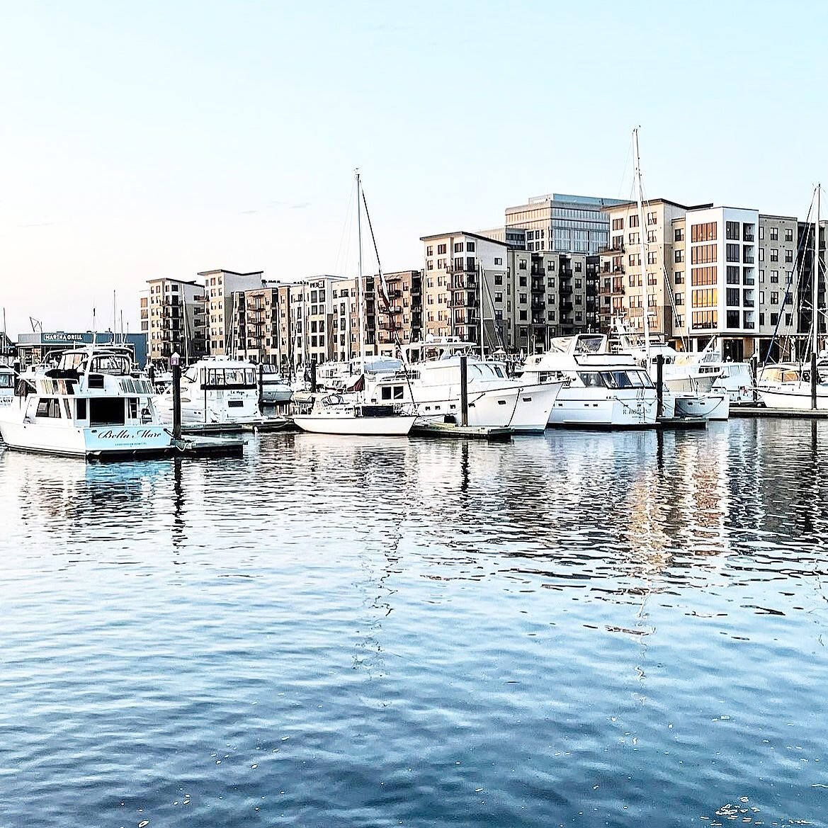 We are so grateful for all of the new local connections we&rsquo;ve made throughout Wilmington and Wrightsvillle during our launch!

If you haven&rsquo;t jumped onto wilmingtondays.com yet, check us out and sign up for our newsletter!

📷 from @pier3
