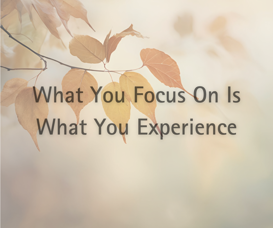What You Focus On Is What You Experience