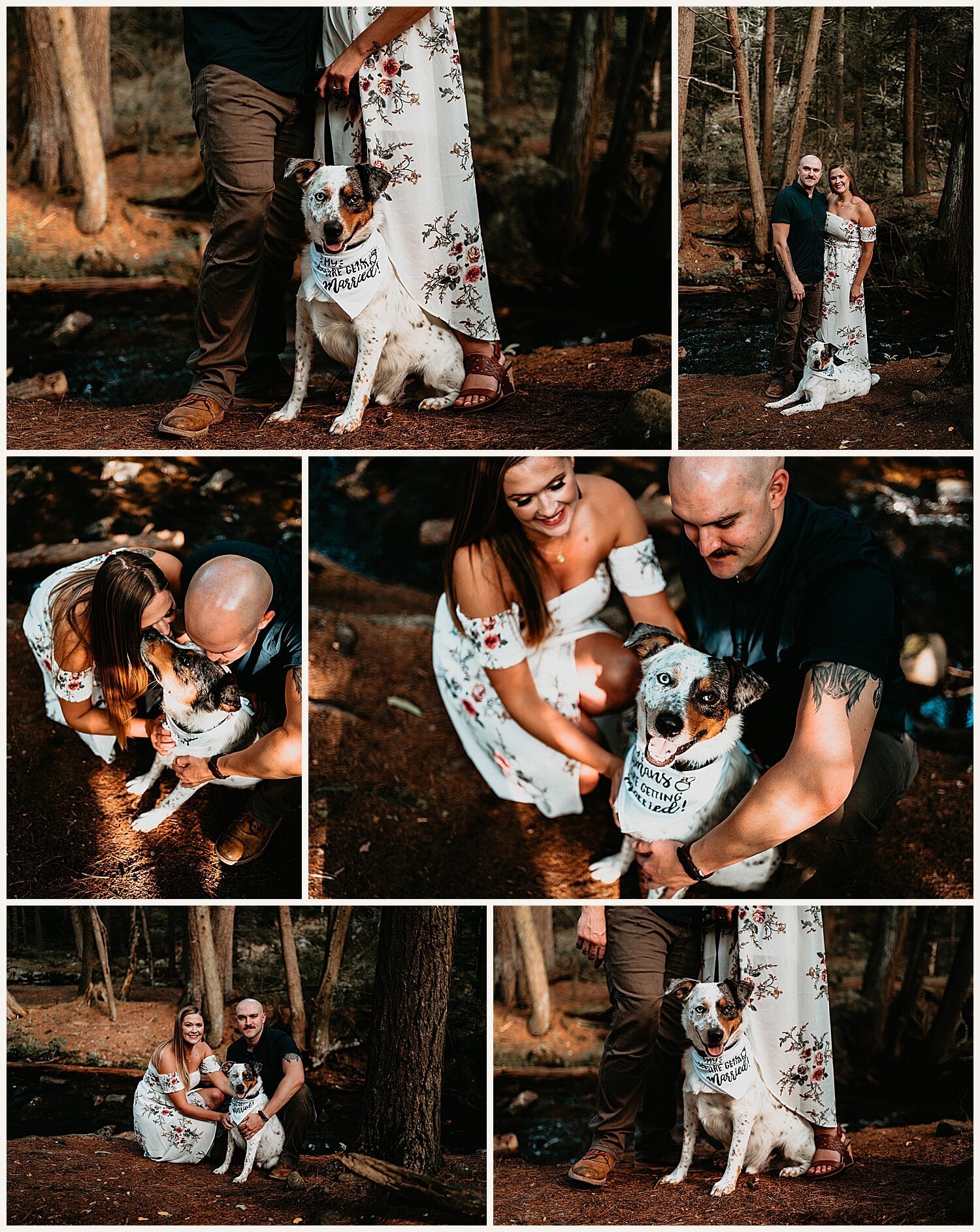 NEPA-Lehigh-Valley-Scranton-poconos-wedding-engagement-photographer-at-hickory-run-state-park-boulder-field-white-haven-PA_0001.jpg