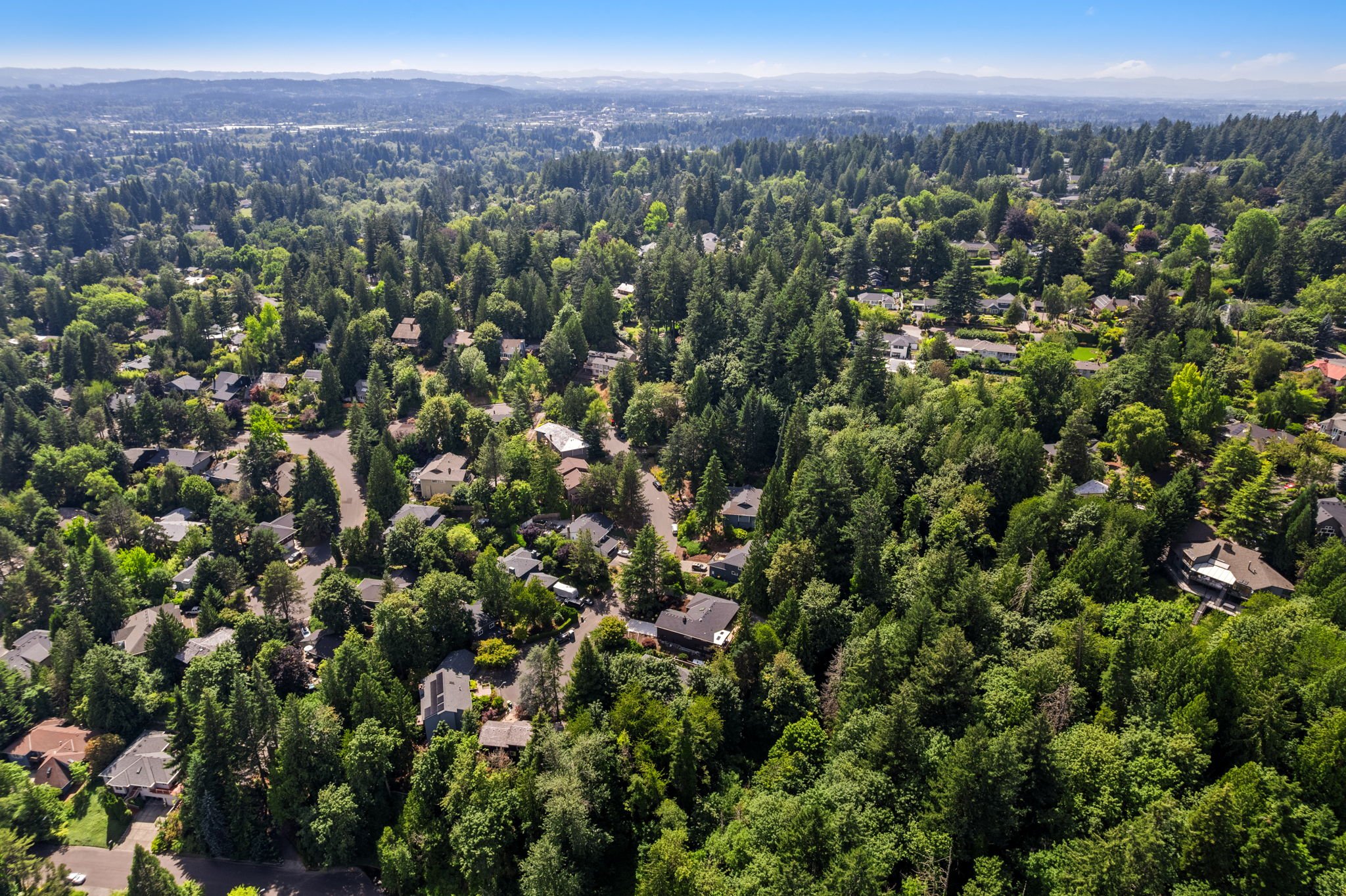 48-web-or-mls-DJI_0209.jpg