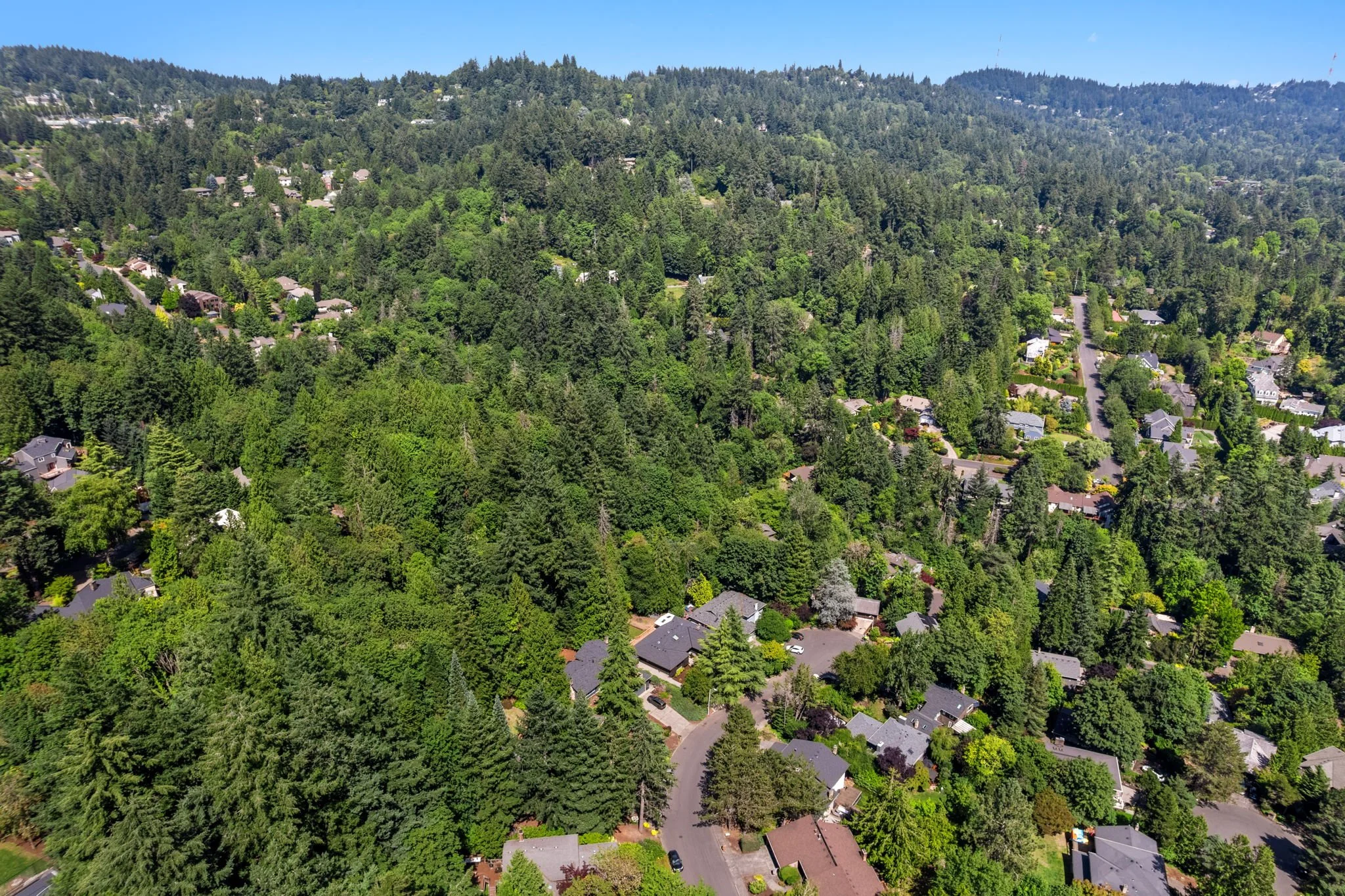 49-web-or-mls-DJI_0203.jpg